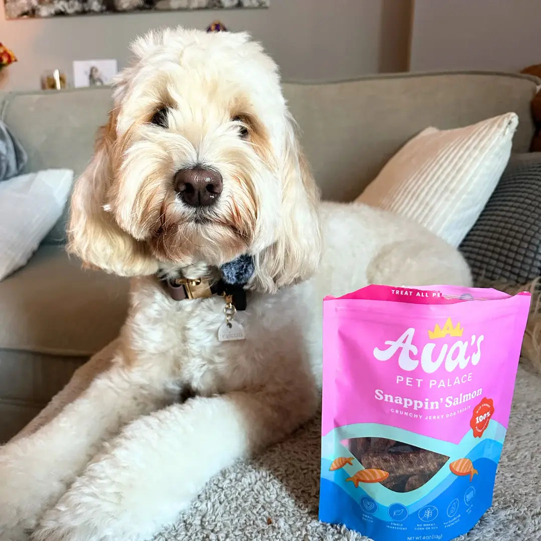 Ava's Pet Palace Crunchy Jerky Dog Treats - Snappin' Salmon Treats (4 oz) American Pet Supplies
