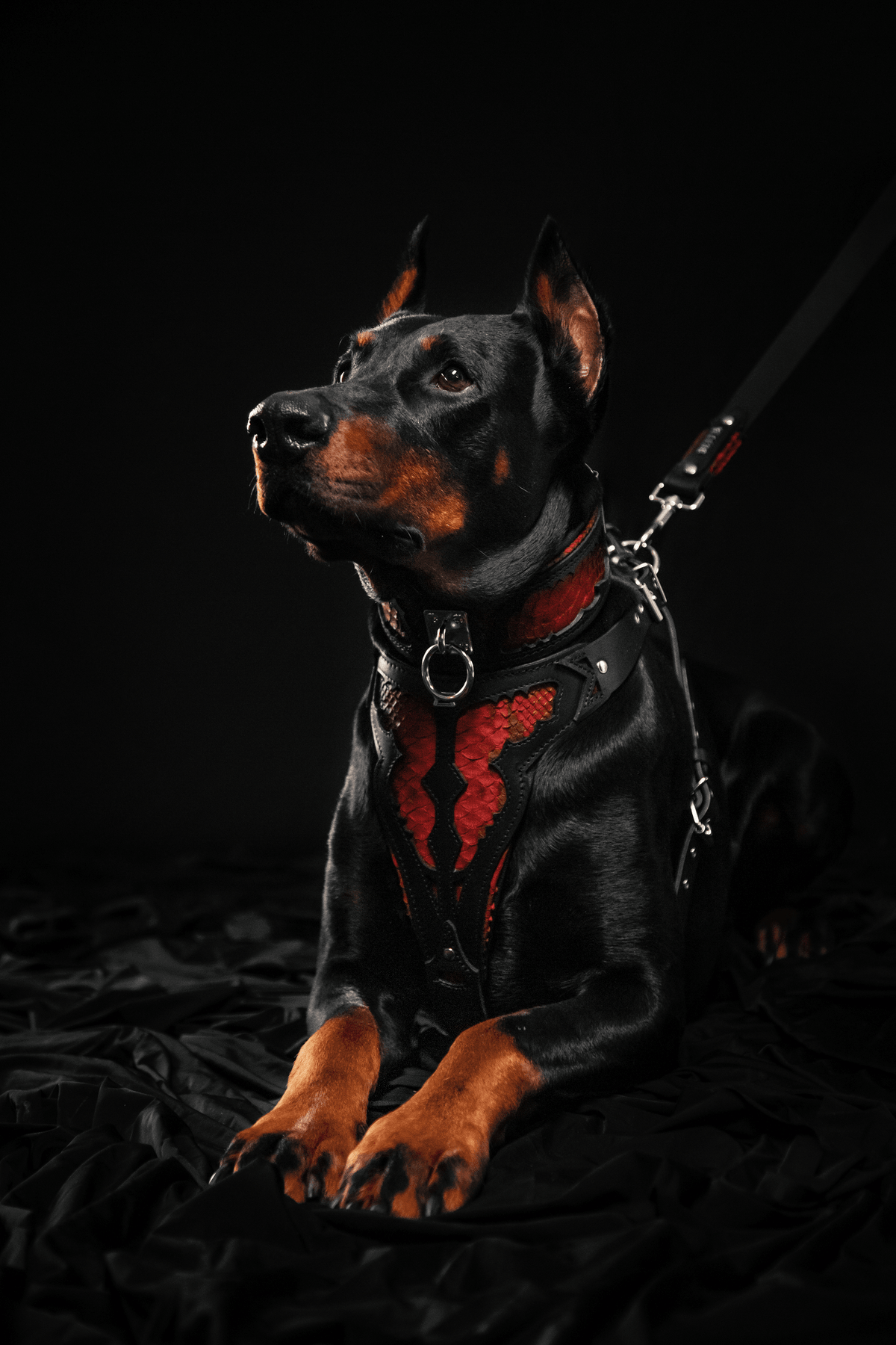 Bestia Red Dragon Leather Dog Collar