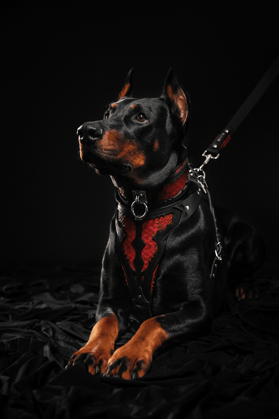 Bestia Red Dragon Leather Dog Harness