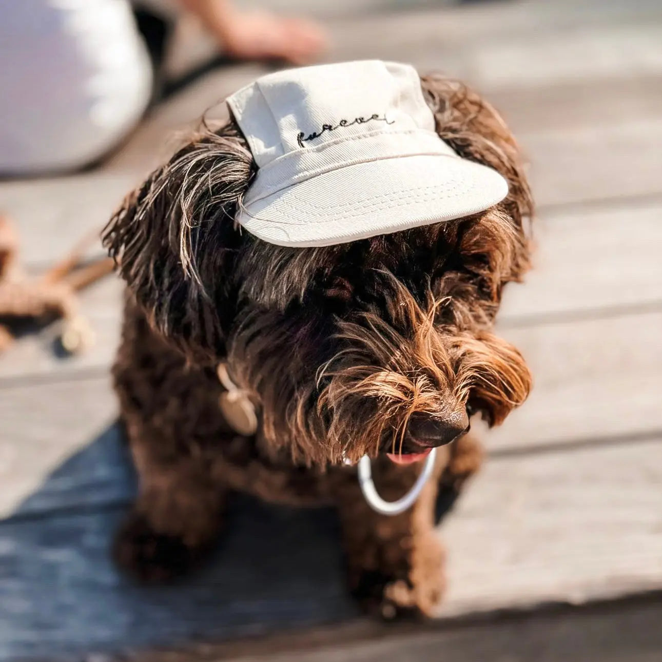 Fur Elise Furever Pet Hat