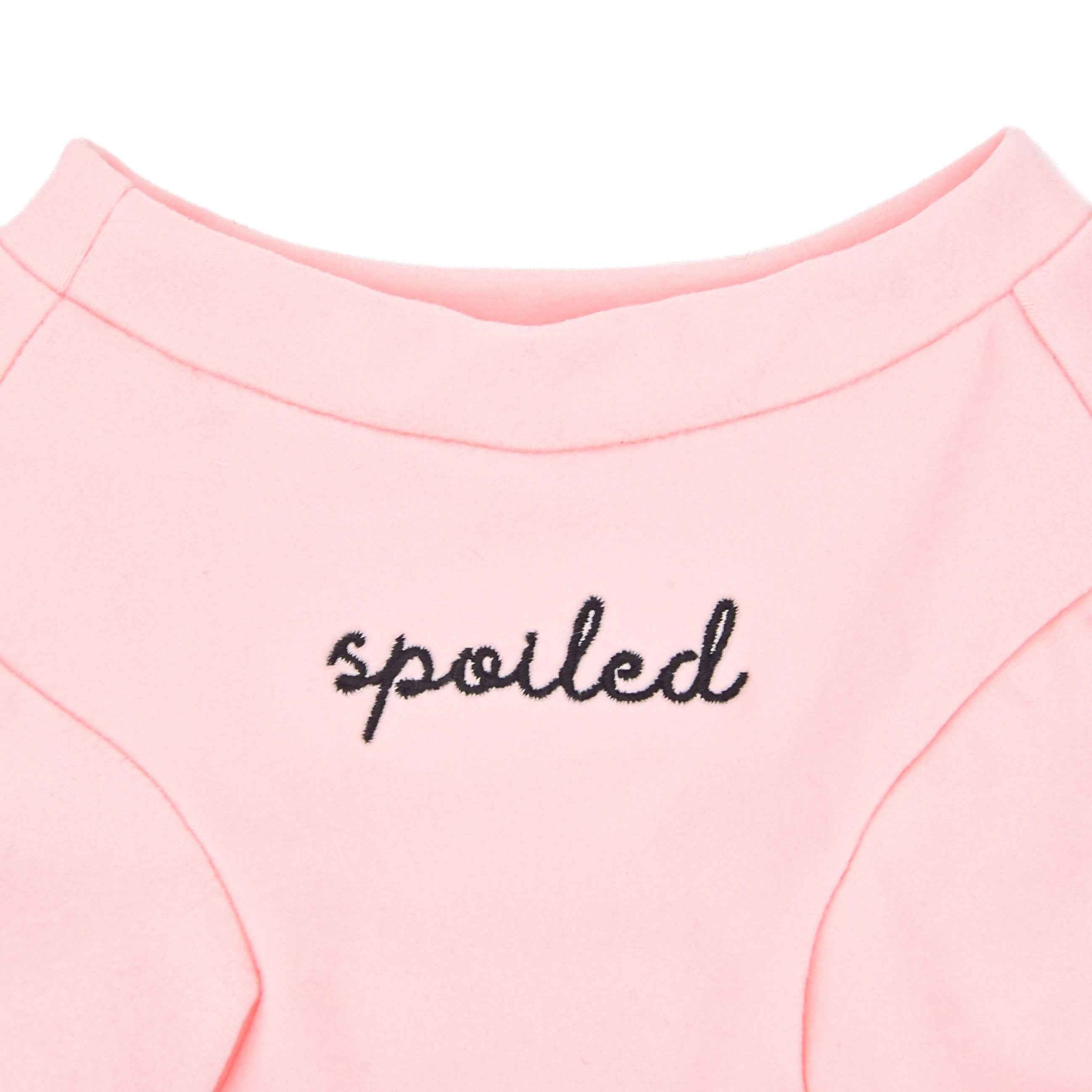 Fur Elise Spoiled Mock Neck Shirt - Blush