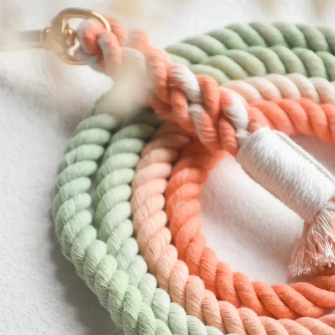 HANDS FREE DOG ROPE LEASH - BUBBLE SODA-2