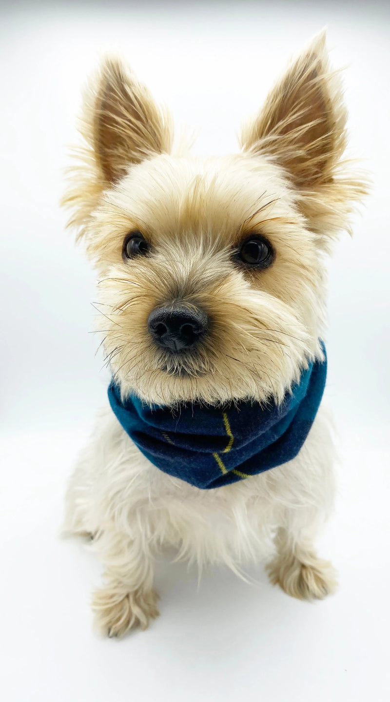 'Blair' Reversible Pet Snood