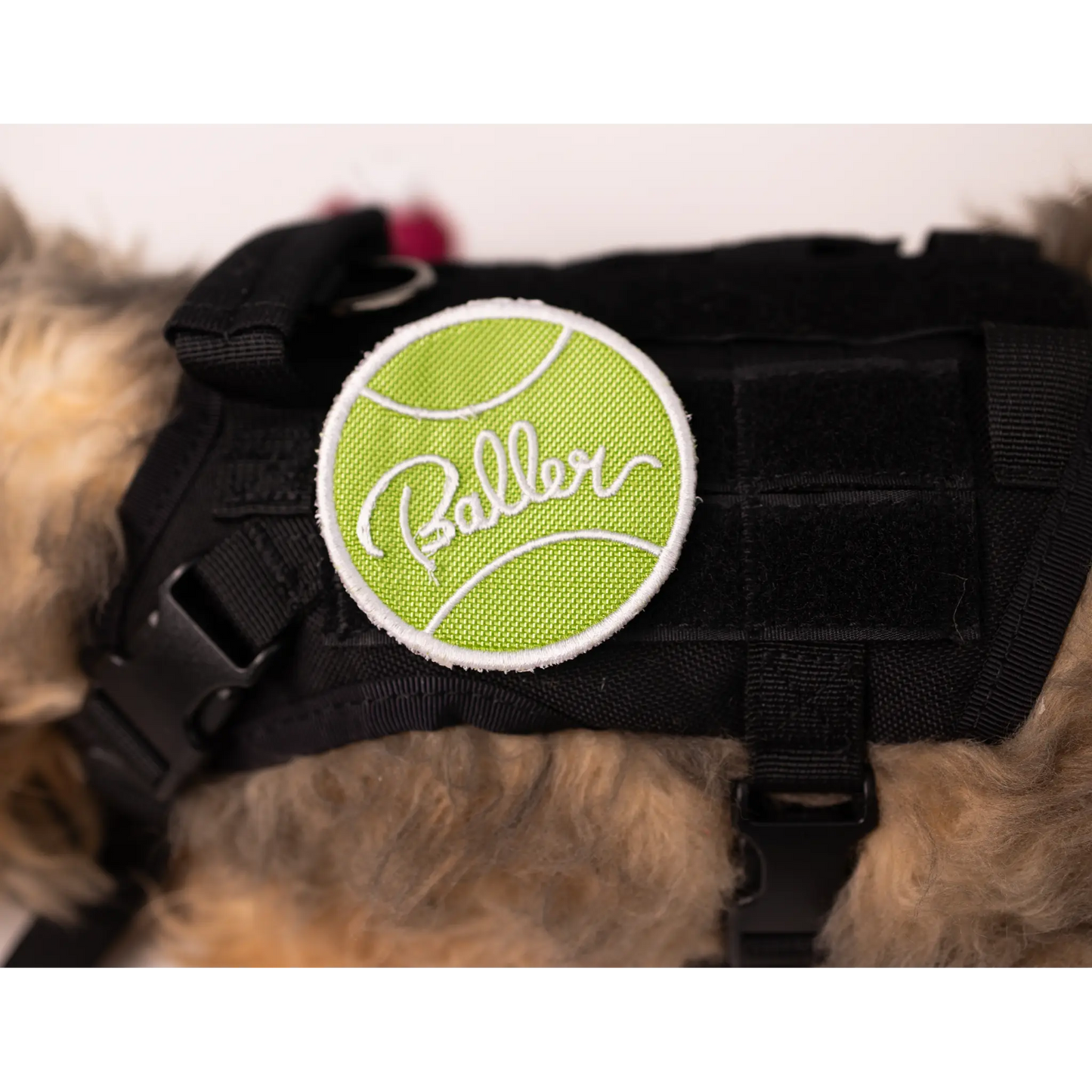 Baller Patch K9 Sport Sack