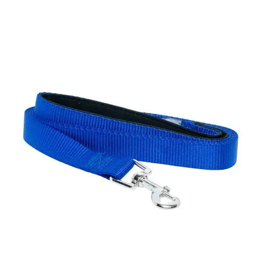 Padded Grip Dog Leash – Durable Nylon, Comfortable, and Secure – 5ft. American Pet Supplies