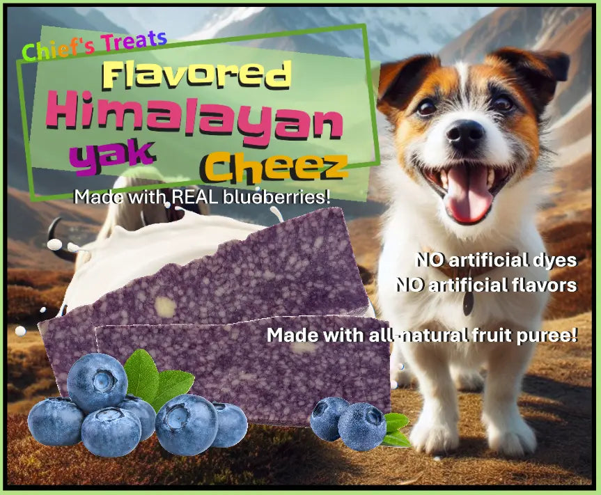 Blueberry Flavored Yak Cheese Chew - Made with REAL BLUEBERRY Puree - Single Chief’s Treats and Pet Supplies