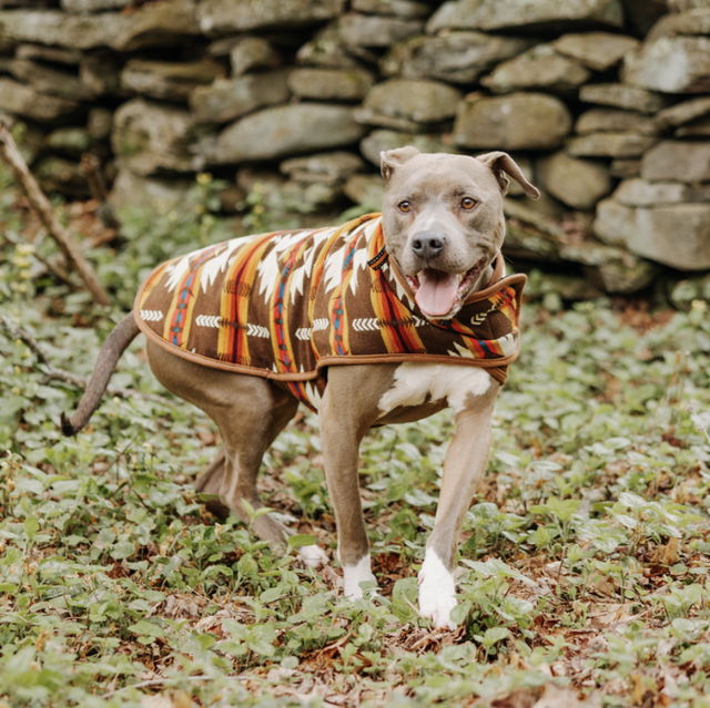 Brown Southwest Dog Coat