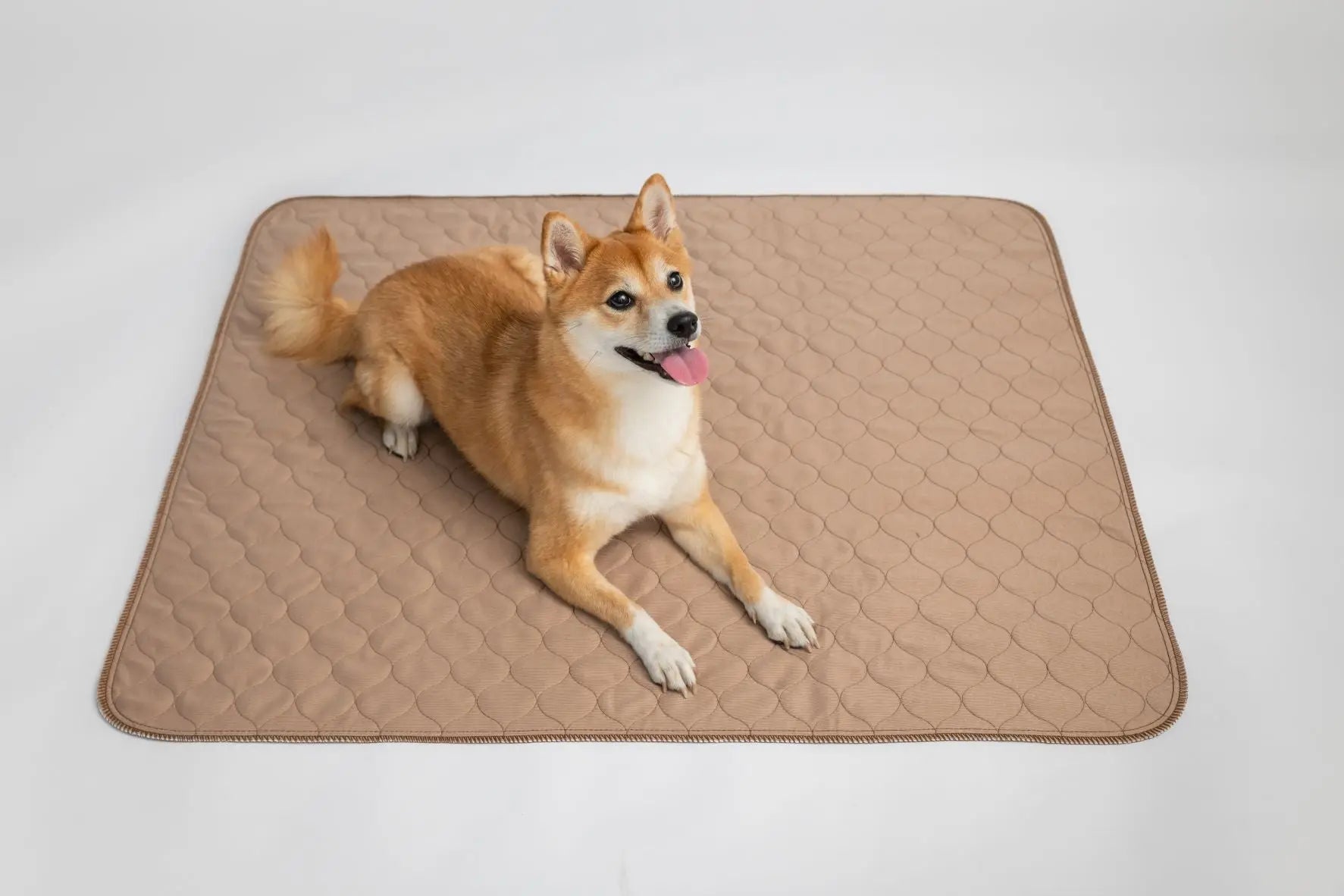 Brown Pad/Mat EZwhelp