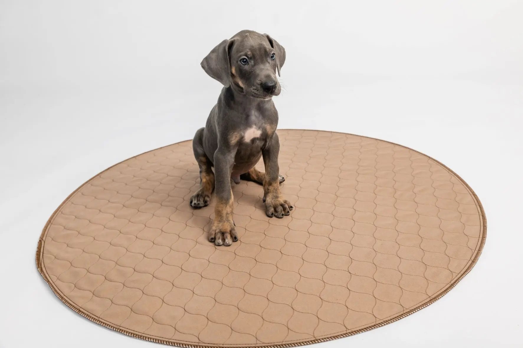 Brown Pad/Mat EZwhelp