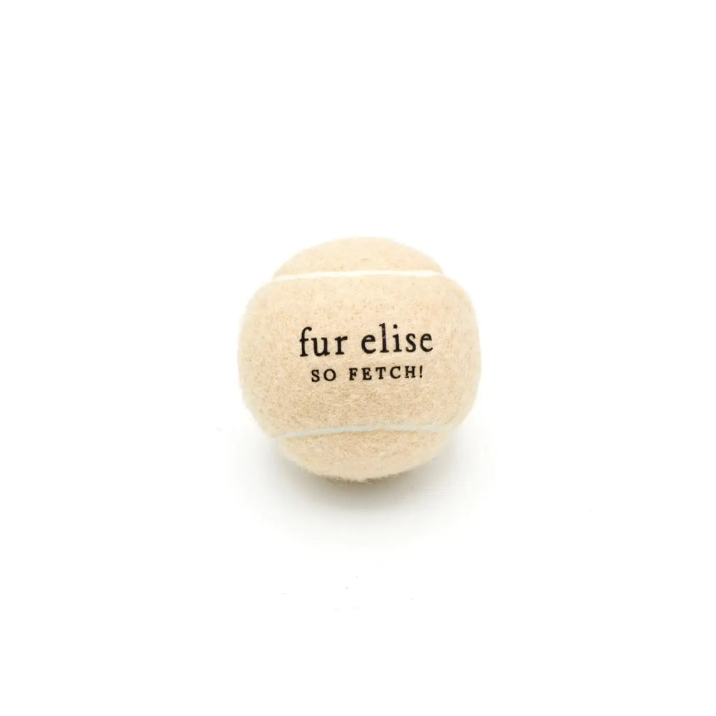 Fur Elise So Fetch! Tennis Ball Pack of 5 - Latte