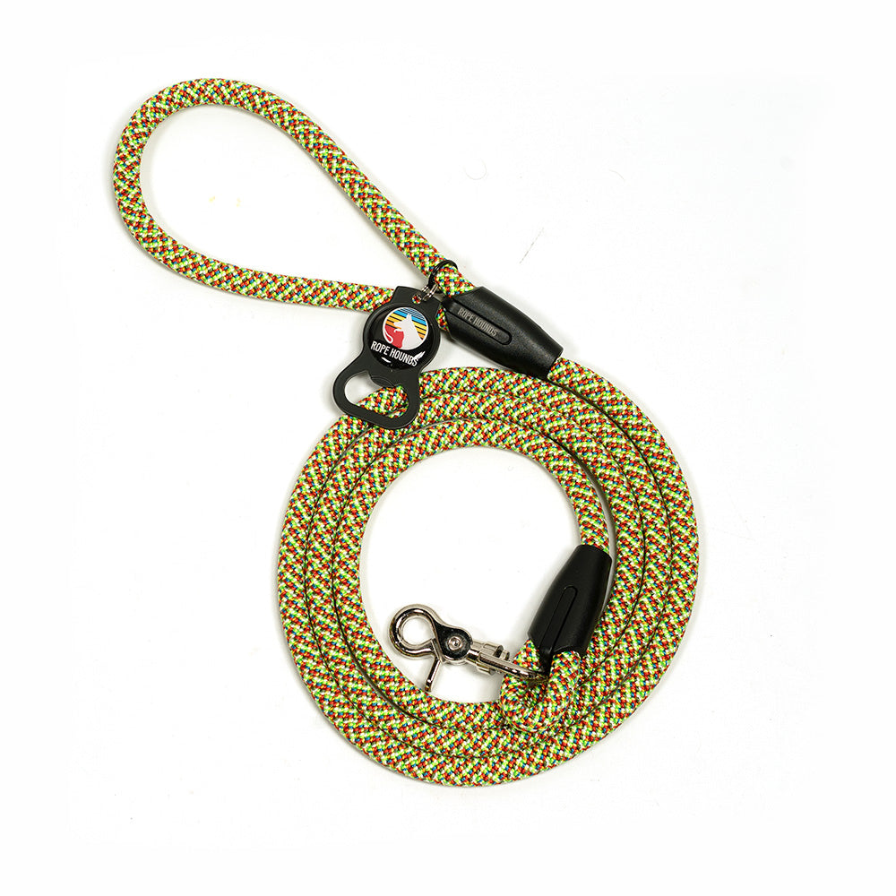 Classic Dog Leash - Multicolored