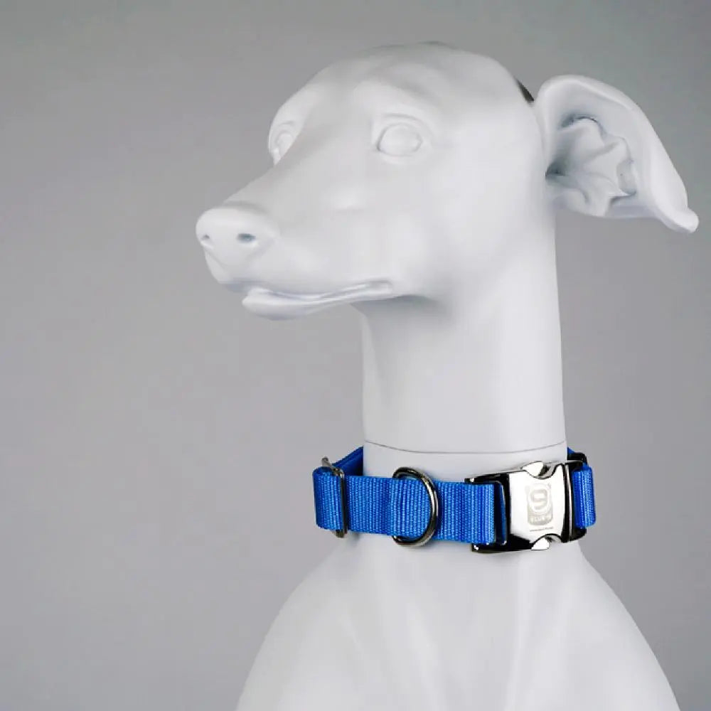 Secure Pro Dog Collar