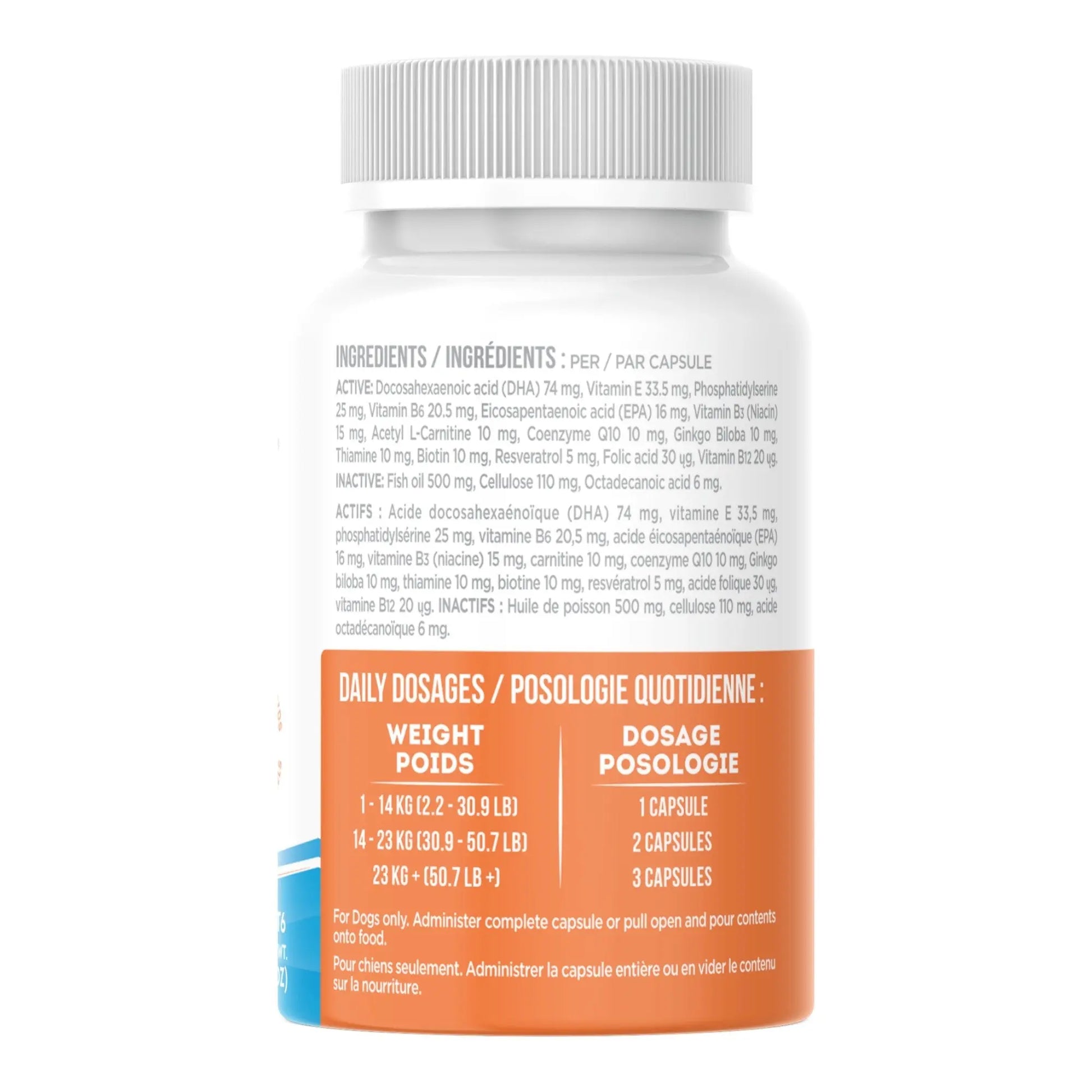 UBAVET Cognadin Memory & Brain Support for Senior Dogs – (90 ct) American Pet Supplies