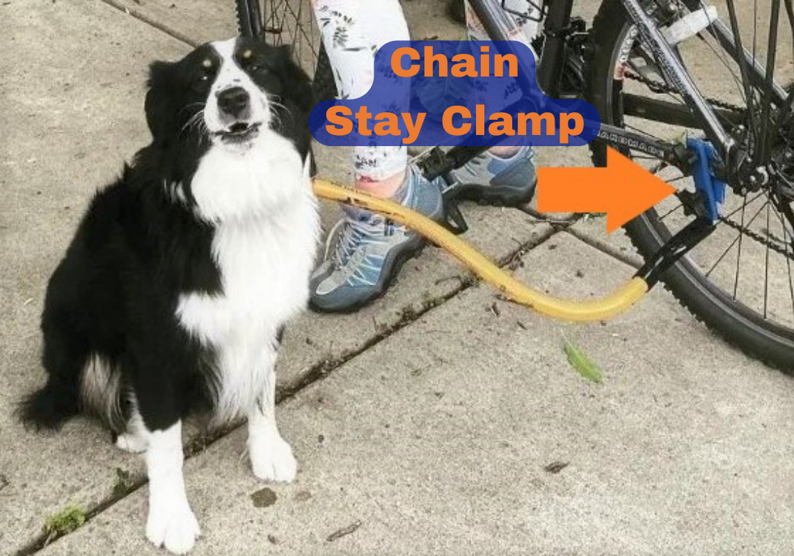 BTL Single Dog Package