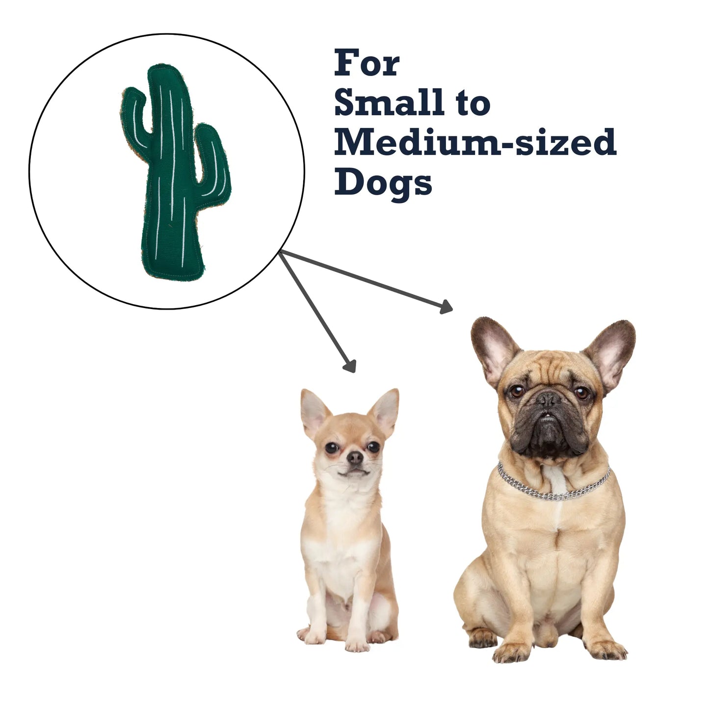 Country Living Canvas & Jute Cactus-Shaped Dog Chew Toy – Durable, Safe and Non-Toxic American Pet Supplies