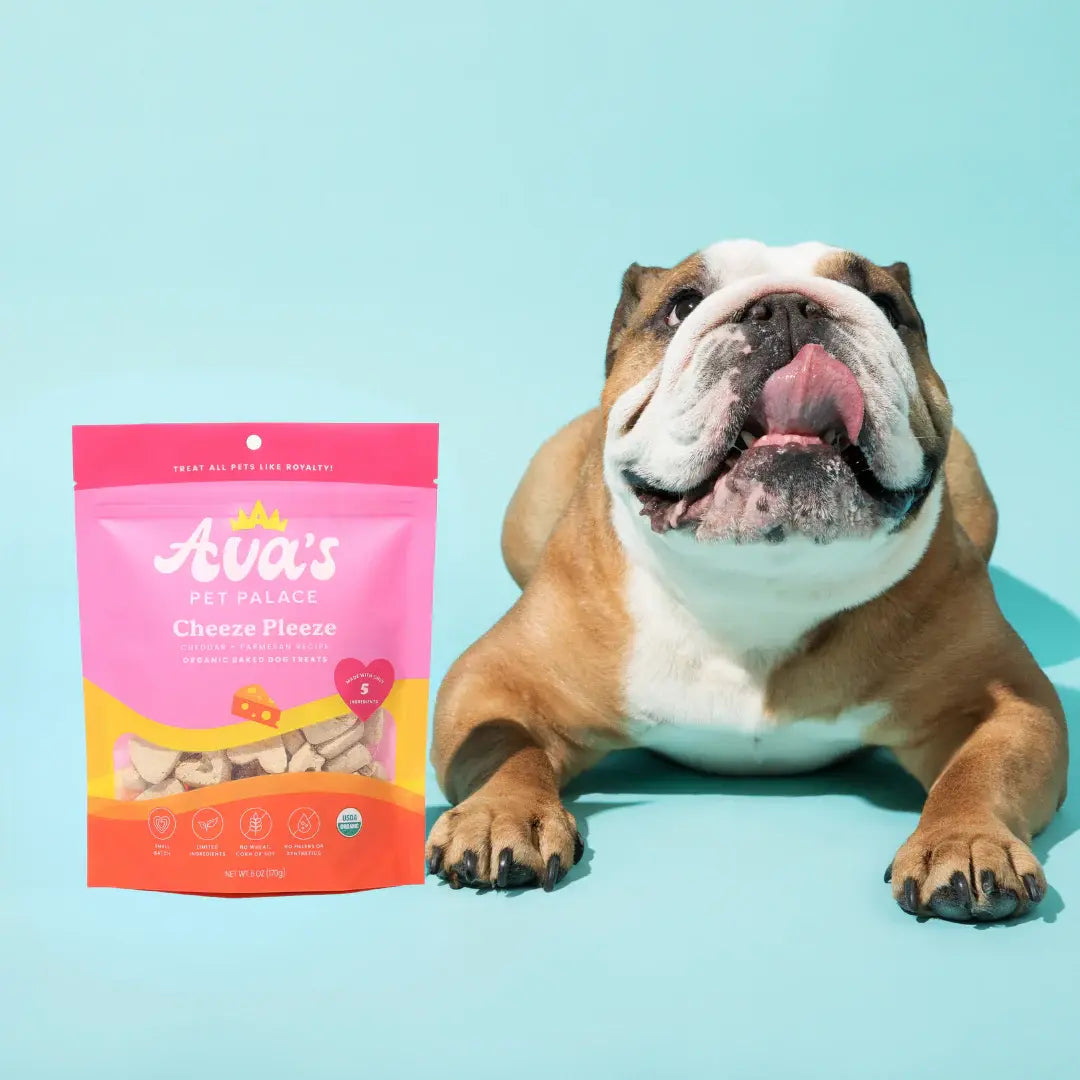 Ava's Pet Palace Organic Baked Dog Treats - Cheeze Pleeze (6 oz) / 2-Pack American Pet Supplies