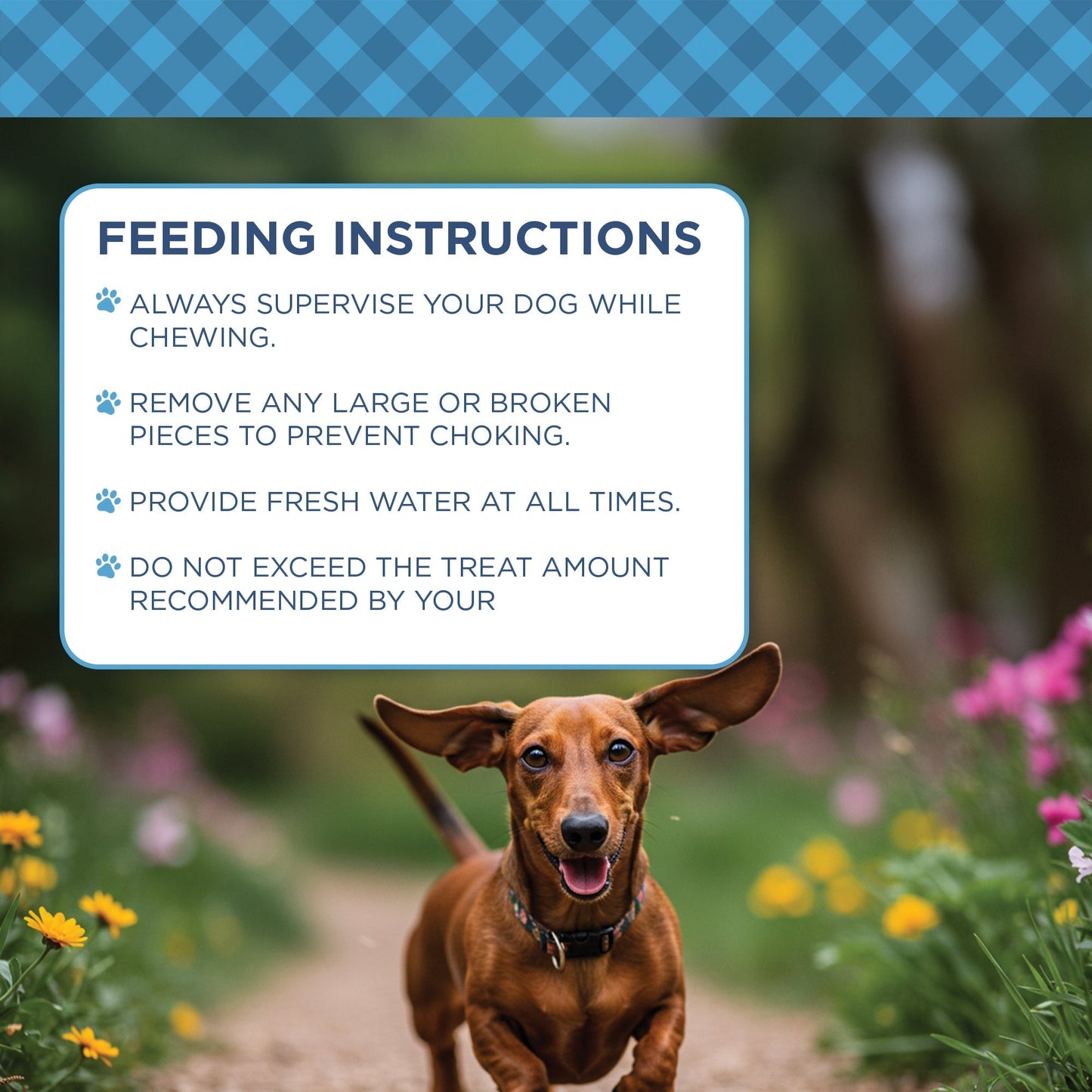 Country Living Dehydrated Chicken Hearts & Livers Dog Treats – 9oz Bag – 100% Natural, High-Protein, Single-Ingredient – Grain-Free, Healthy Training & Reward Treats – No Preservatives or Additives American Pet Supplies