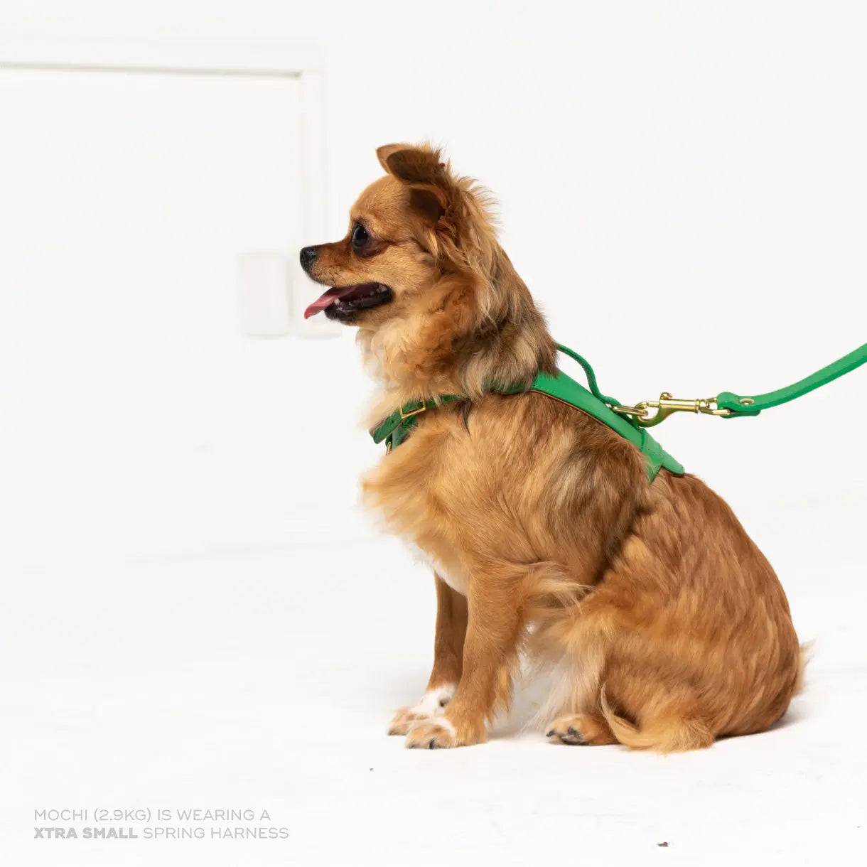 Spring Heritage Harness Ramona For You