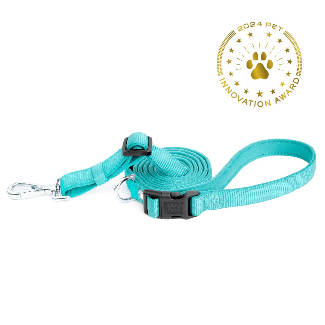 City Dog Leash - Fifth Avenue Dogistry™