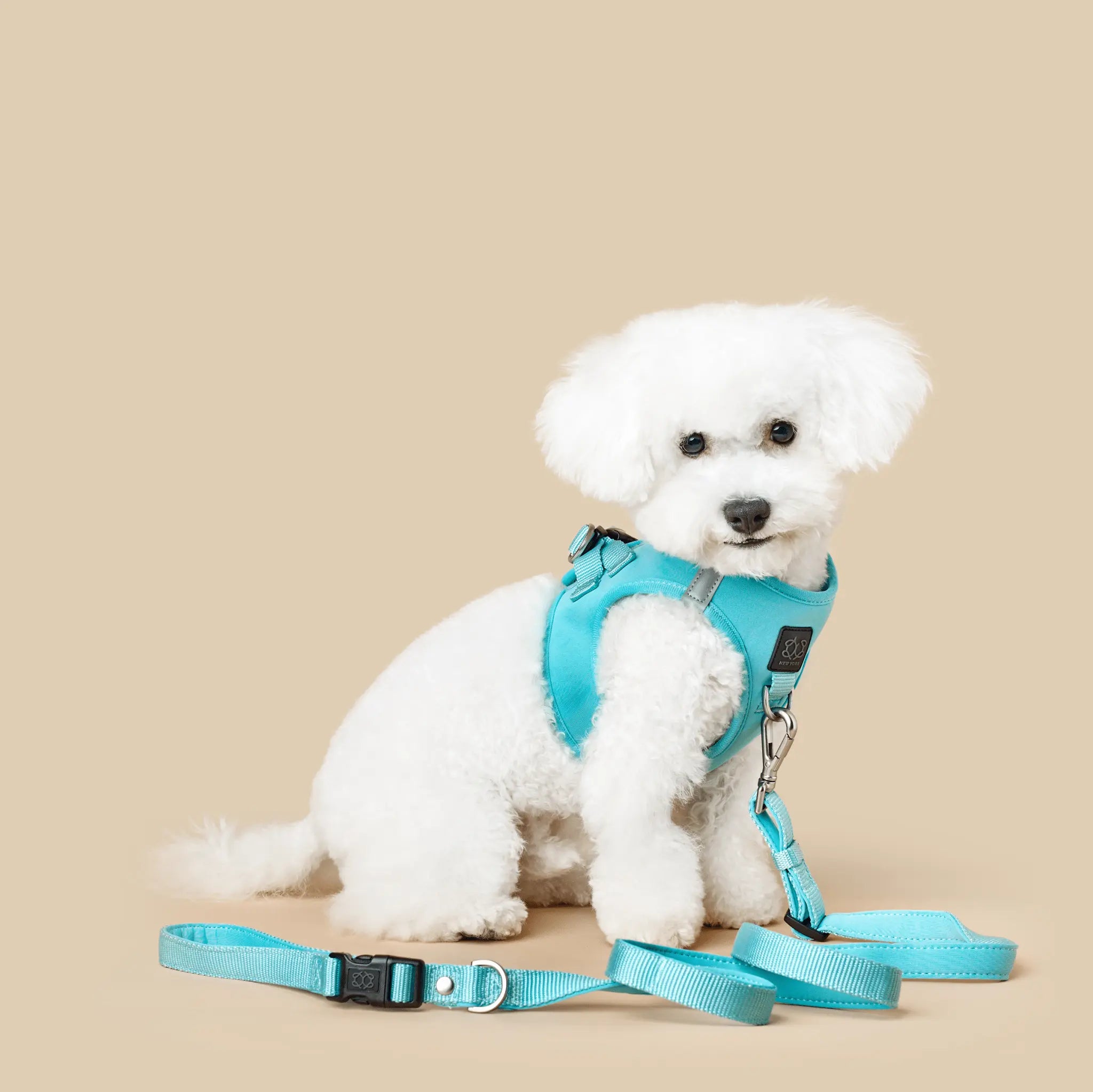 3-in-1 City Dog Leash - Fifth Avenue - K9 Outdoors