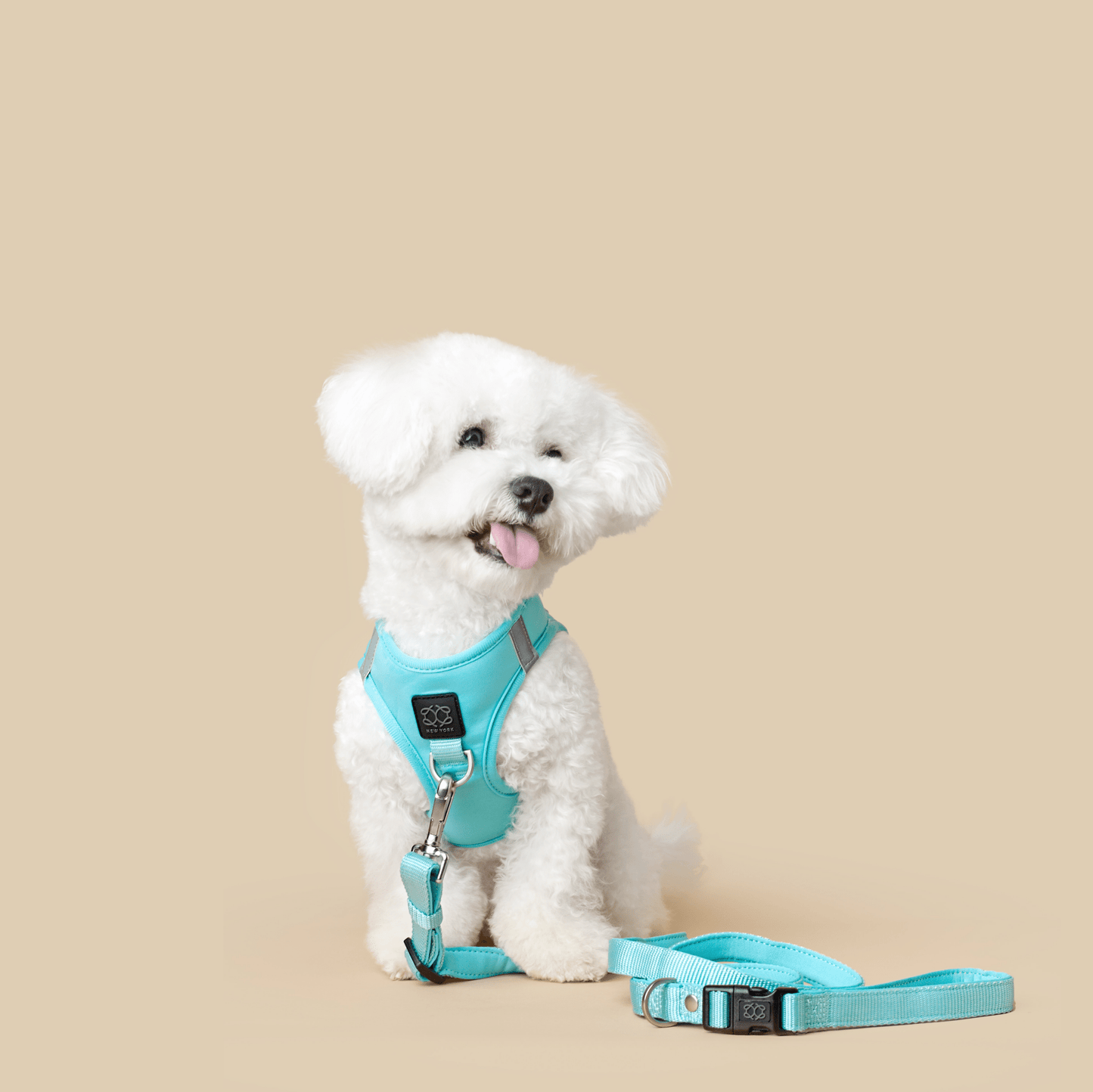 City Dog Leash - Fifth Avenue Dogistry™