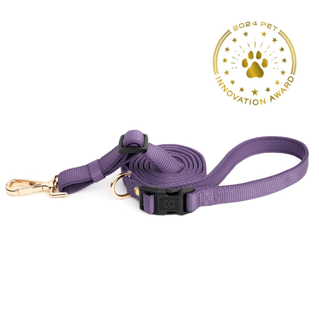 City Dog Leash - Lilac Gray Dogistry™