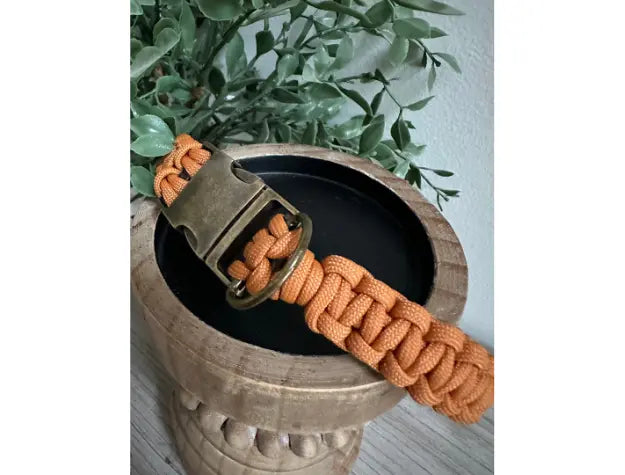 Cobra Braid in Mustard - Handmade Dog Collar Pawsh Pup Co.