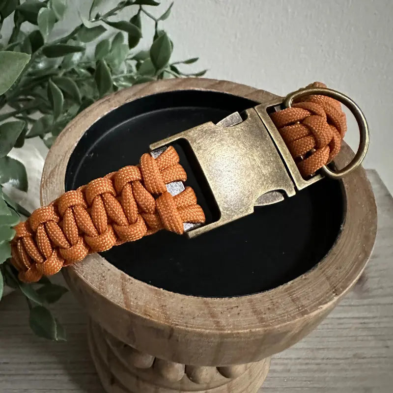 Cobra Braid in Mustard - Handmade Dog Collar Pawsh Pup Co.