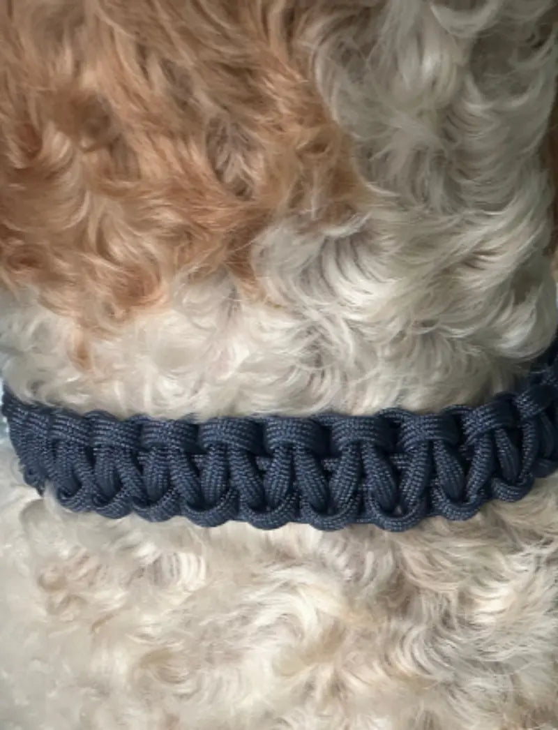 Cobra Braid in Navy Blue - Handmade Dog Collar Pawsh Pup Co.