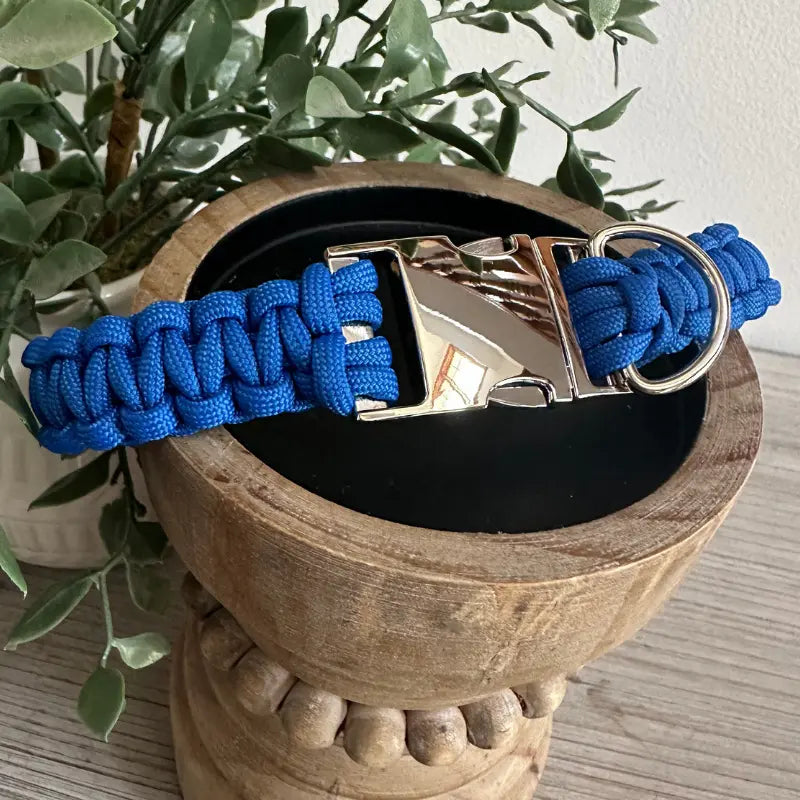 Cobra Braid in Royal Blue - Handmade Dog Collar Pawsh Pup Co.