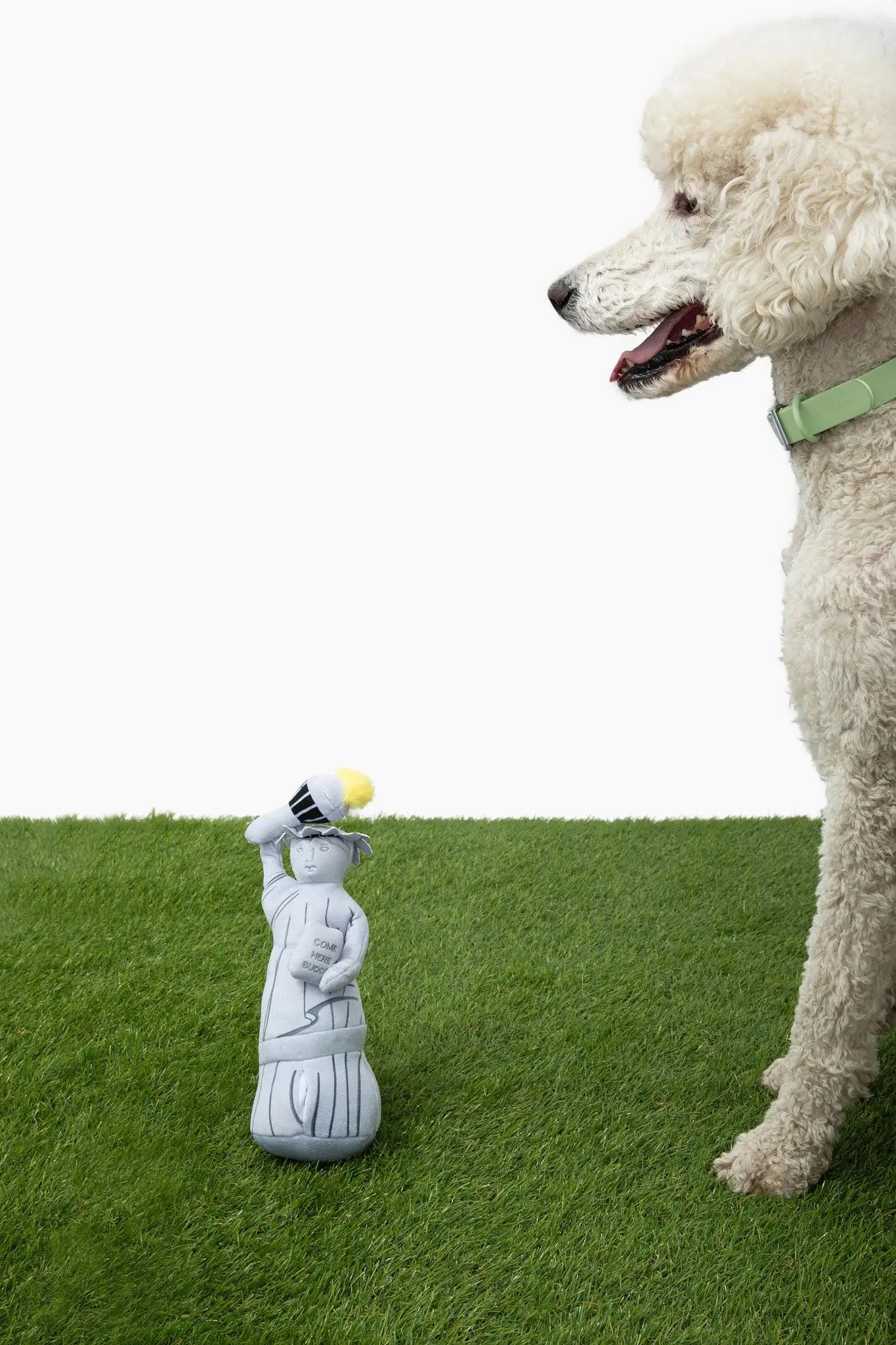 Liberty Nose Work Dog Toy - K9 Outdoors