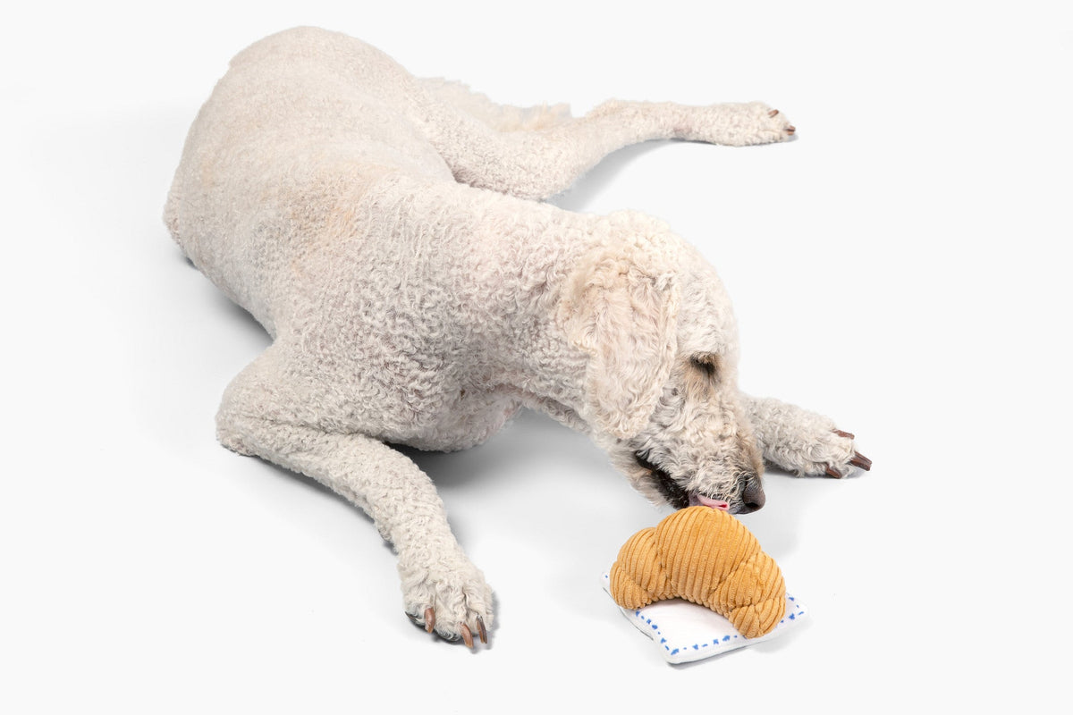 Croissant Nose Work Toy / Enrichment Toy by Come Here Buddy