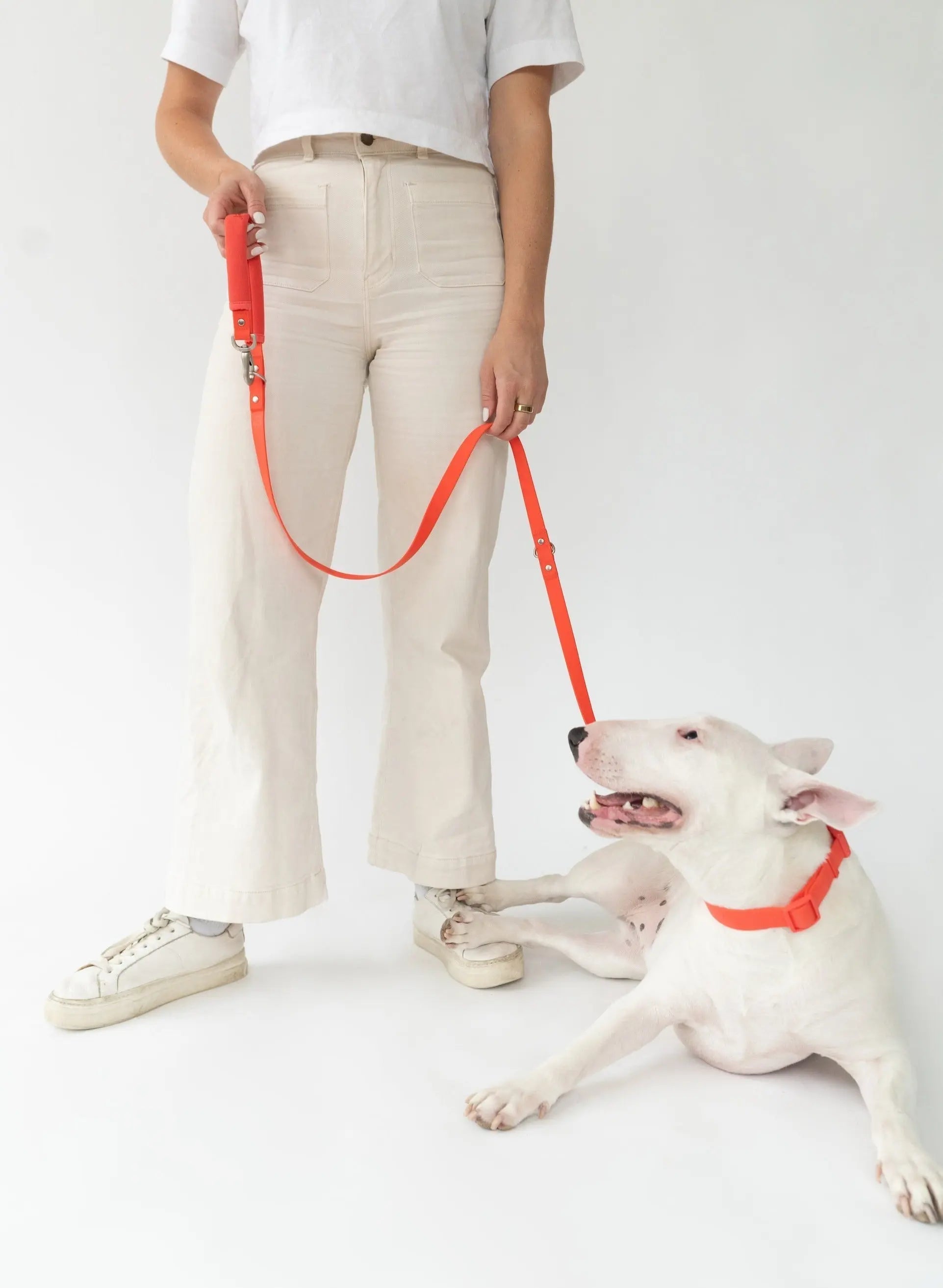 Original Dog Leash with Neoprene Handle - K9 Outdoors