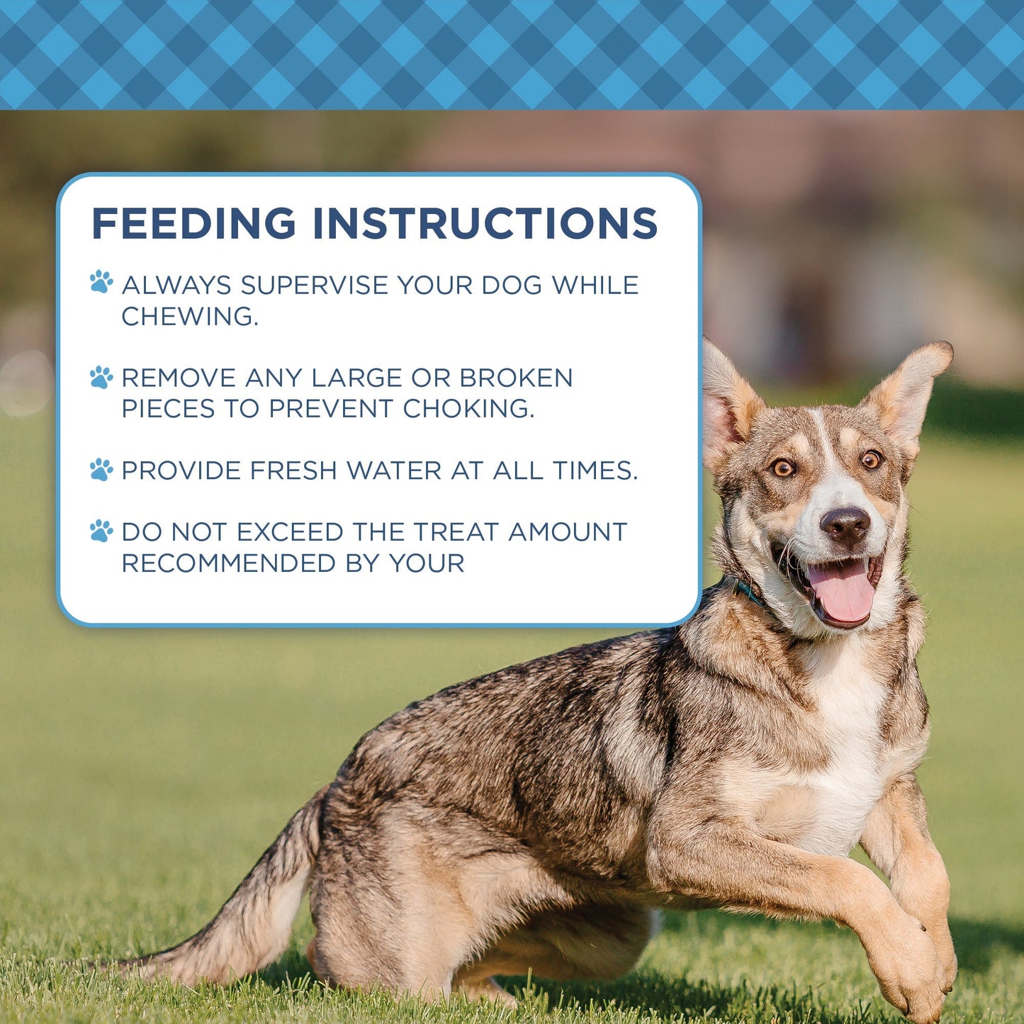 Country Living Natural Cow Ears Dog Chews – 10 Count Bag – All-Natural, Single-Ingredient, Long-Lasting Dog Chews – High-Protein, Low-Fat, Rawhide-Free – Supports Dental Health American Pet Supplies