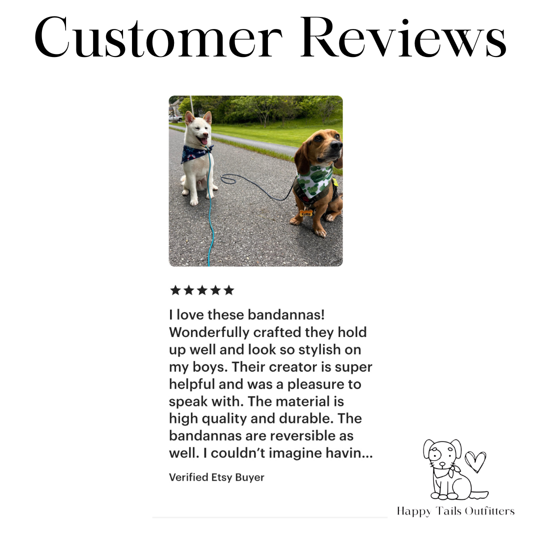 Cactus Dog Bandana Happy Tails Outfitters