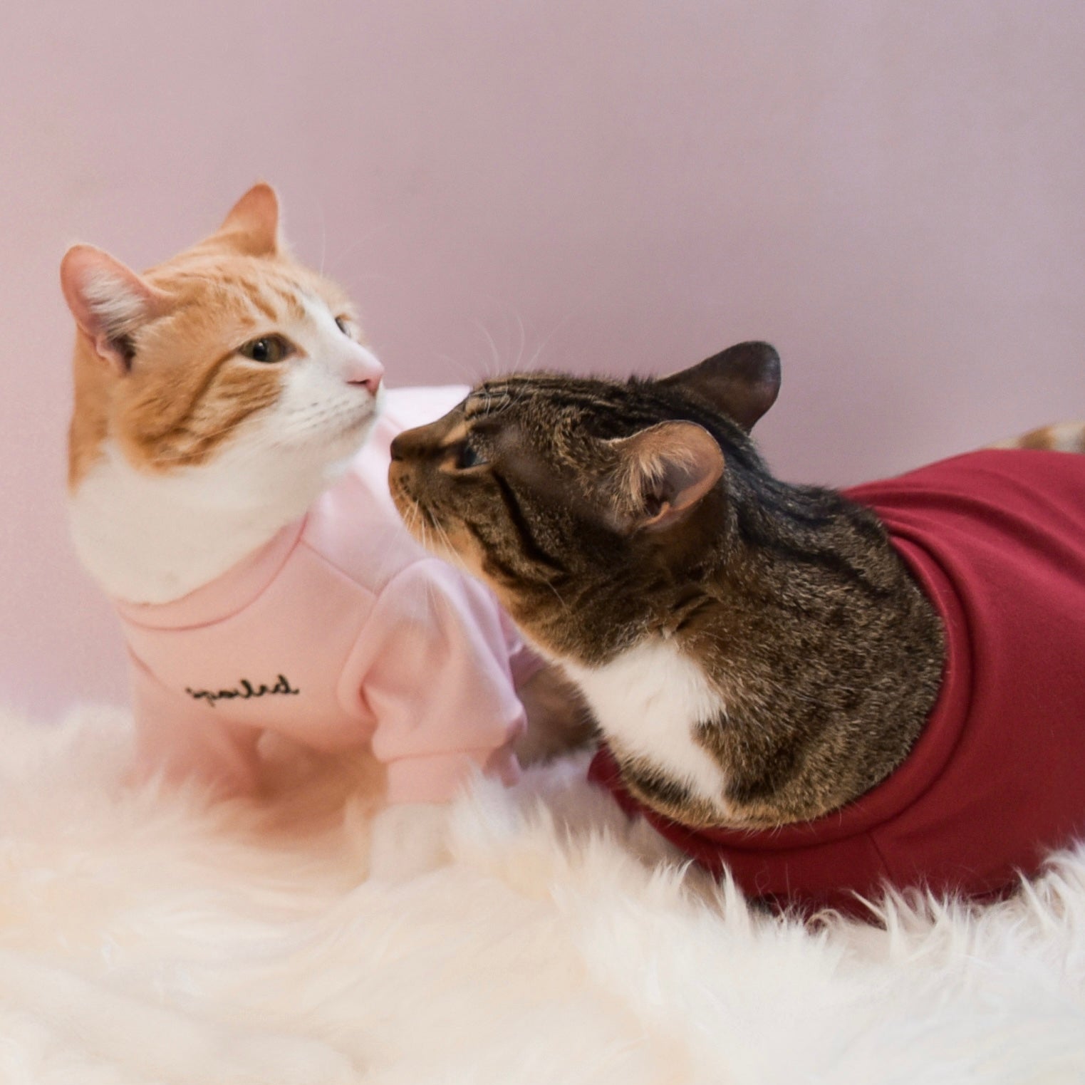 Fur Elise Spoiled Mock Neck Shirt - Lucky