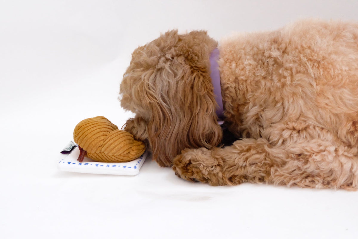 Croissant Nose Work Toy / Enrichment Toy by Come Here Buddy