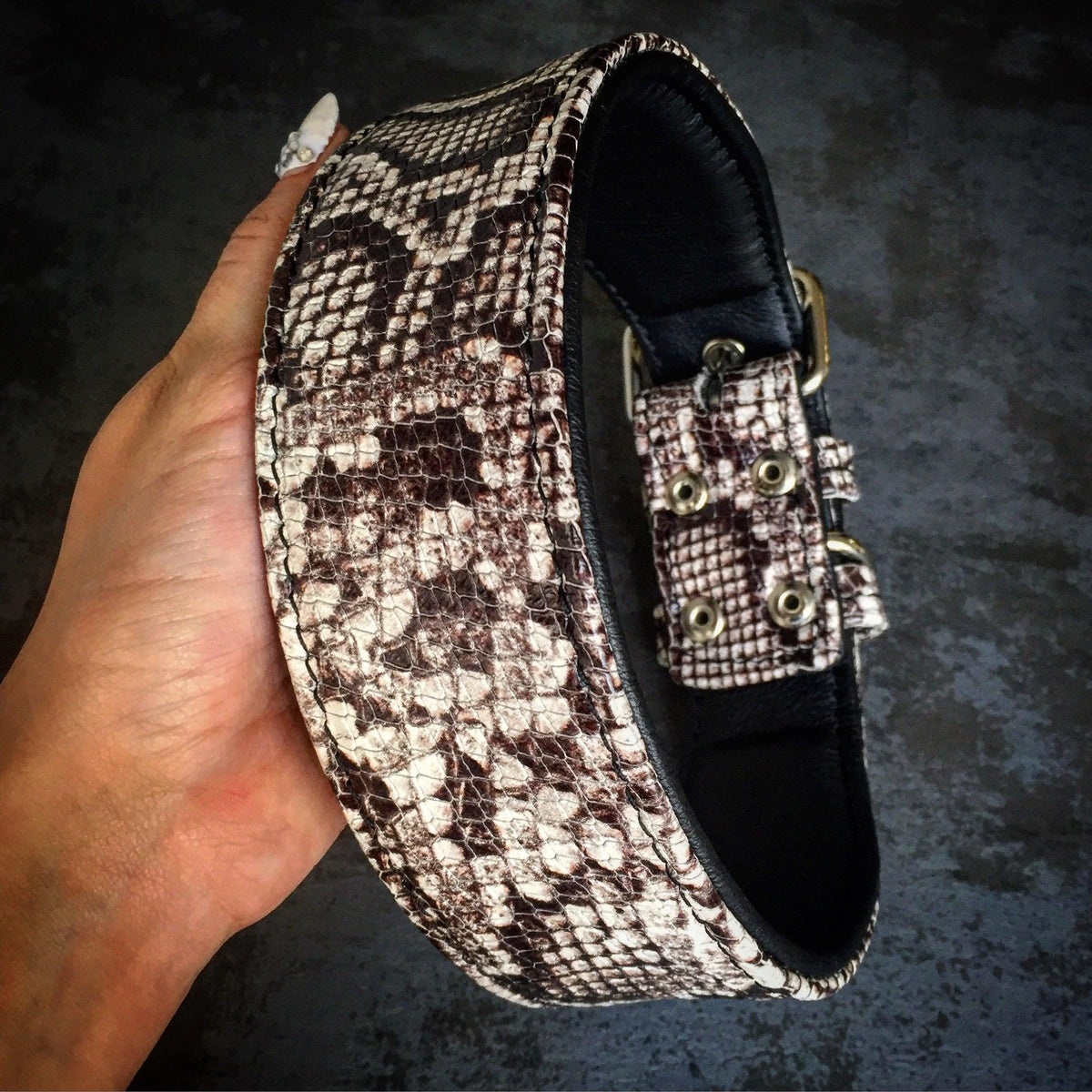 Bestia Rock Python Leather Dog Collar