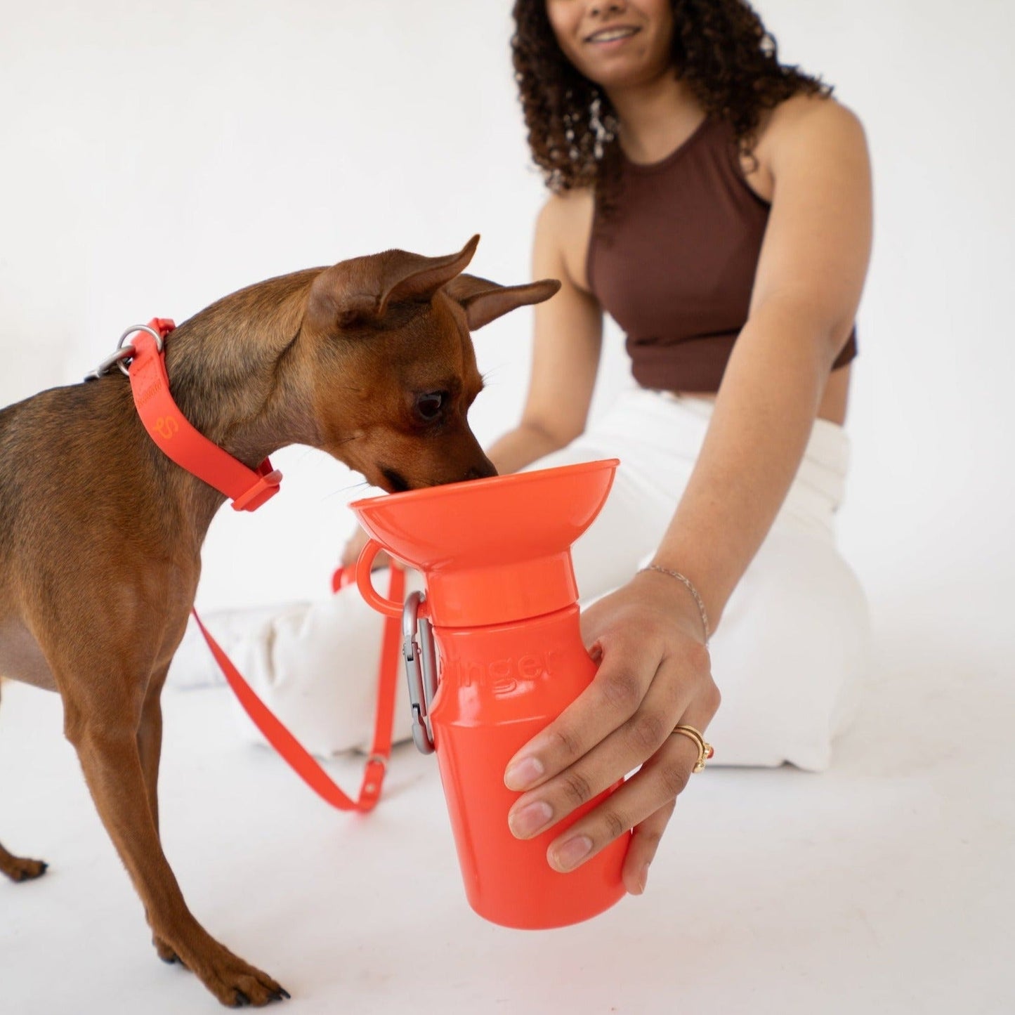 15oz Original Dog Travel Water Bottle Springland Pets