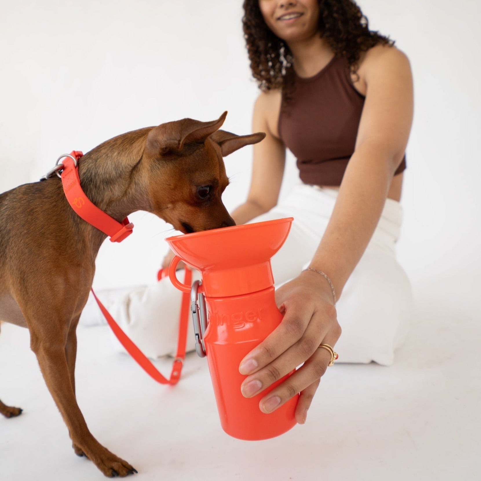 15oz Original Dog Travel Water Bottle Springland Pets