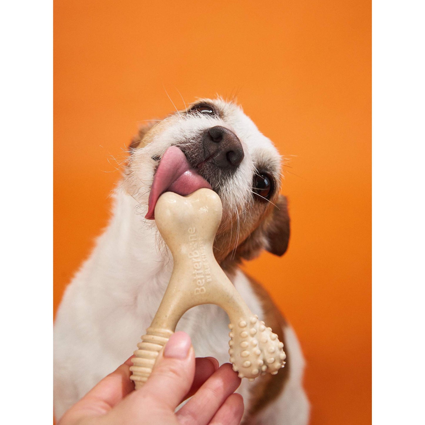 BetterBone HARD CHEW TOY: Natural Ingredients, eco-friendly, and ultra-durable chew for the toughest chewers! BetterBone All Natural Eco-Friendly Dog Chews & Bones