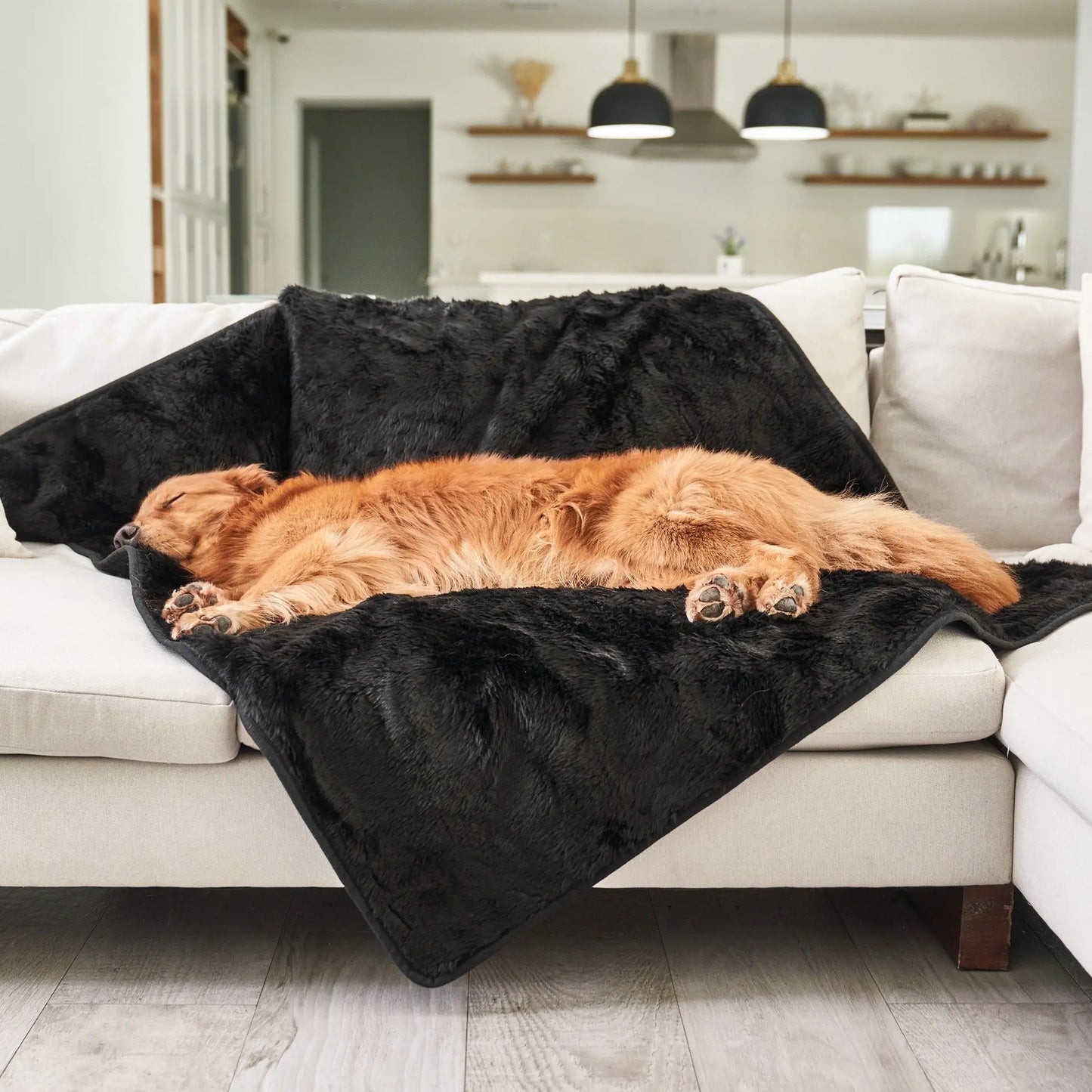 PupProtector™ Summer Short Fur Waterproof Throw Blanket - Midnight Black Paw.com