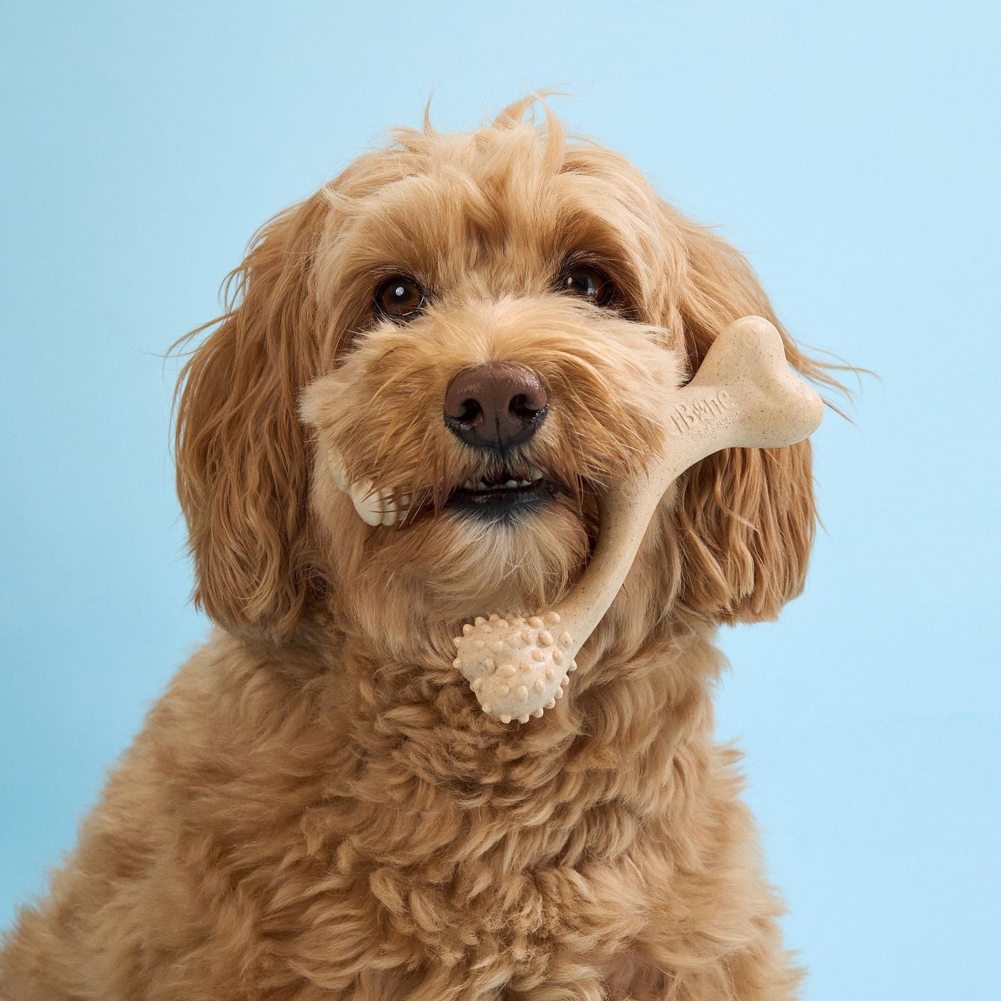 BetterBone SOFT Durability CHEW TOY: Natural Ingredients, Perfet for Teething Puppies, Senior Dogs & Gentle Chewers BetterBone All Natural Eco-Friendly Dog Chews & Bones