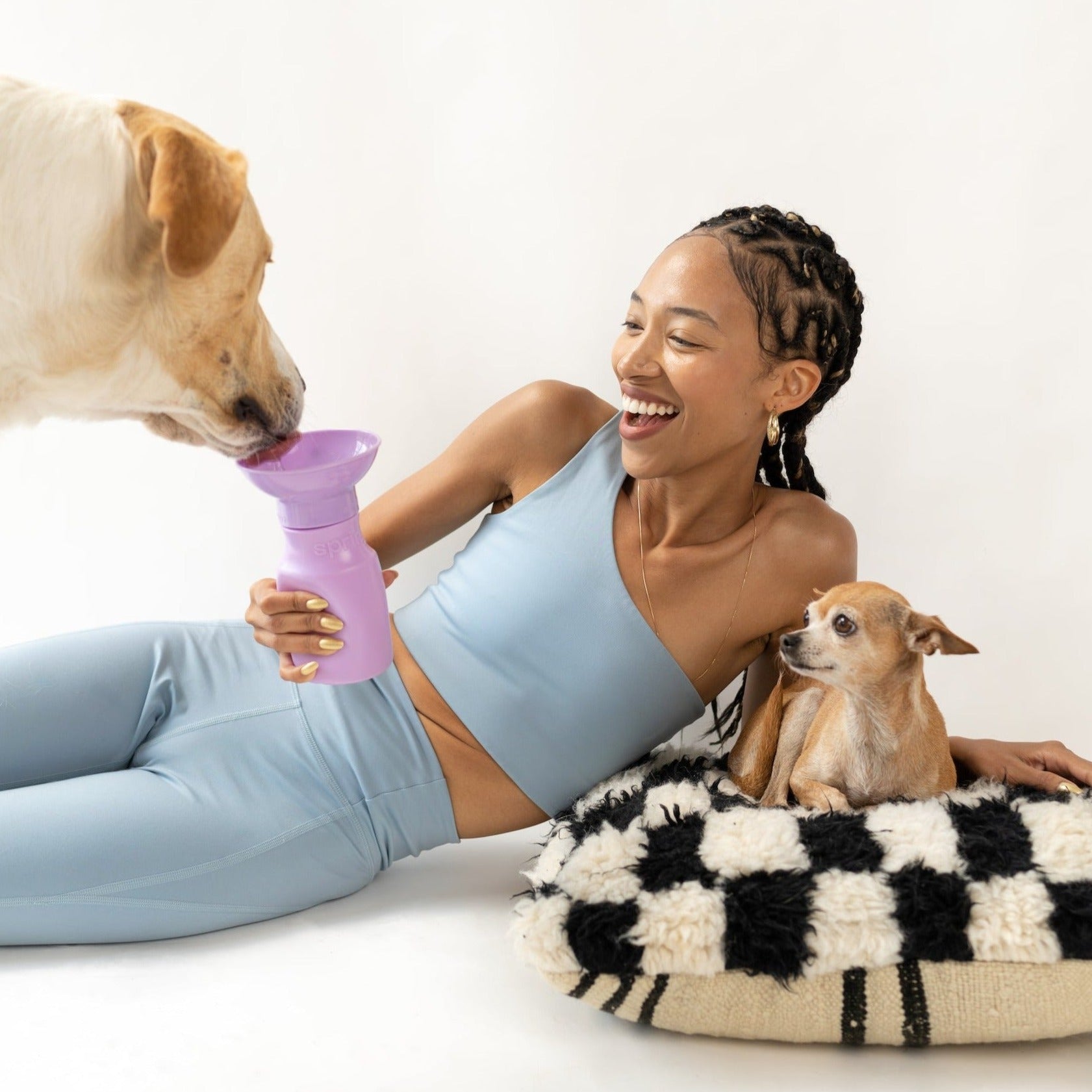 15oz Original Dog Travel Water Bottle Springland Pets