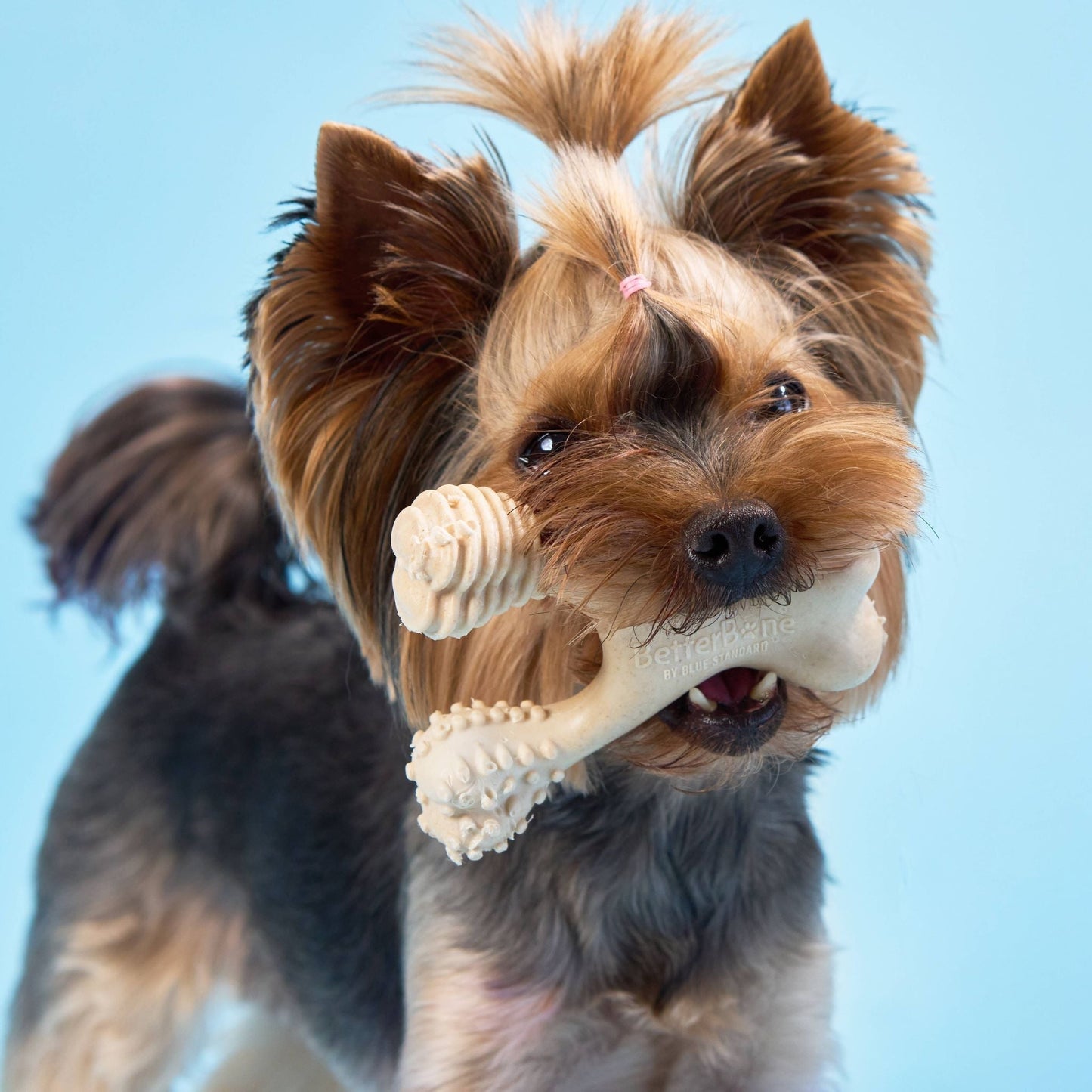 BetterBone SOFT Durability CHEW TOY: Natural Ingredients, Perfet for Teething Puppies, Senior Dogs & Gentle Chewers BetterBone All Natural Eco-Friendly Dog Chews & Bones
