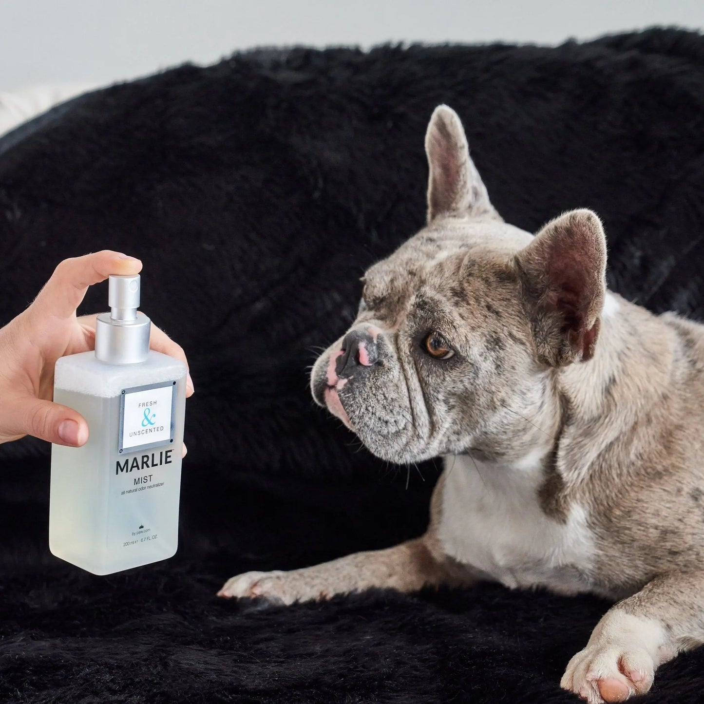 Marlie Mist Pet Odor Eliminator Spray with Essential Oils Paw.com
