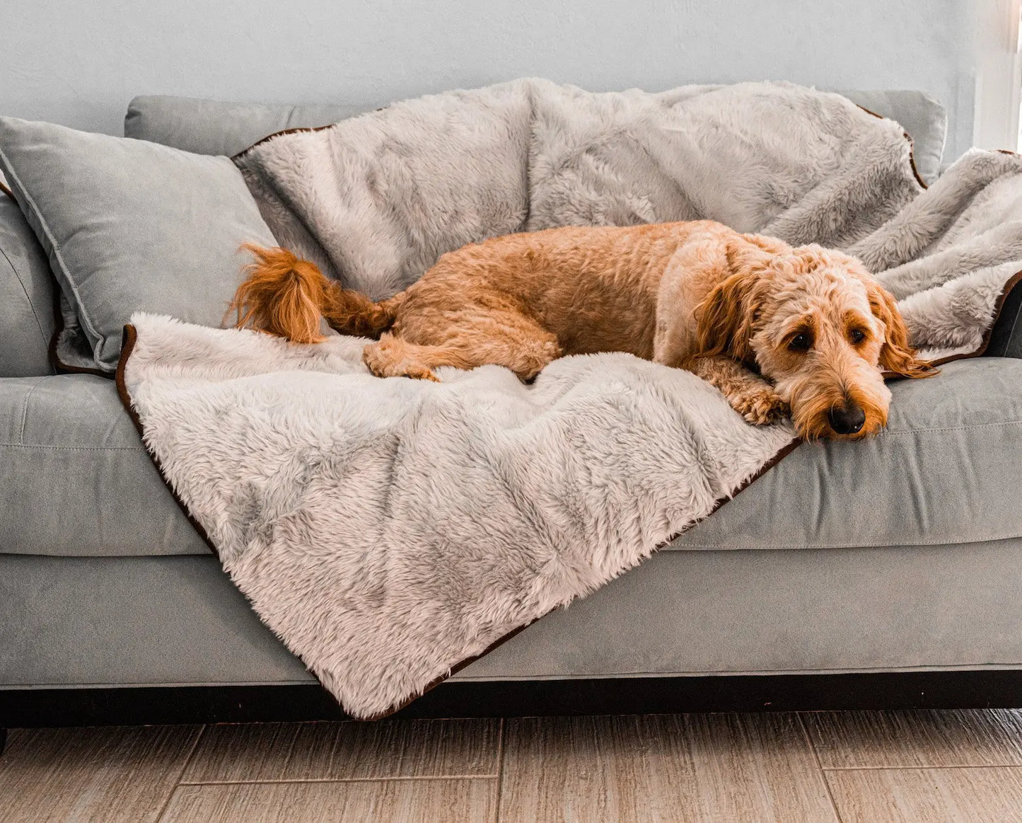 PupProtector™ Summer Short Fur Waterproof Throw Blanket - Grey Paw.com