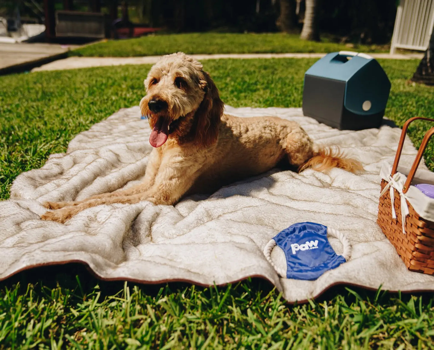 PupProtector™ Summer Short Fur Waterproof Throw Blanket - White with Brown Accents Paw.com
