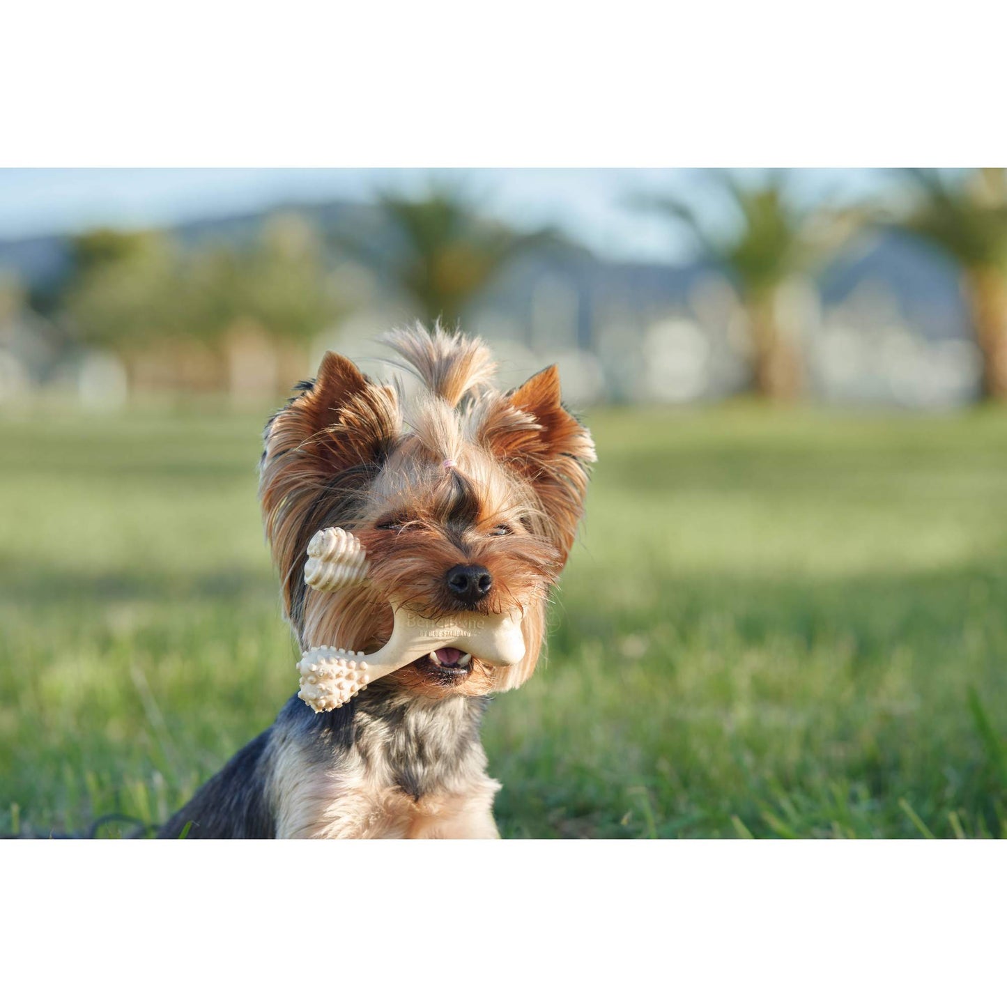 BetterBone HARD CHEW TOY: Natural Ingredients, eco-friendly, and ultra-durable chew for the toughest chewers! BetterBone All Natural Eco-Friendly Dog Chews & Bones