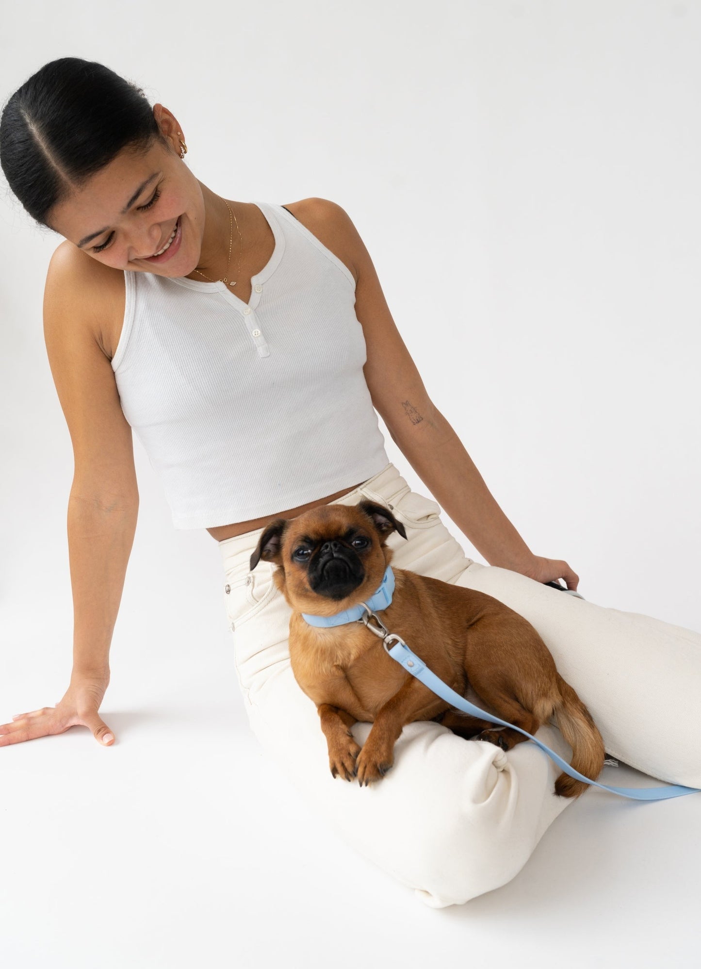 Original Dog Collar Springland Pets